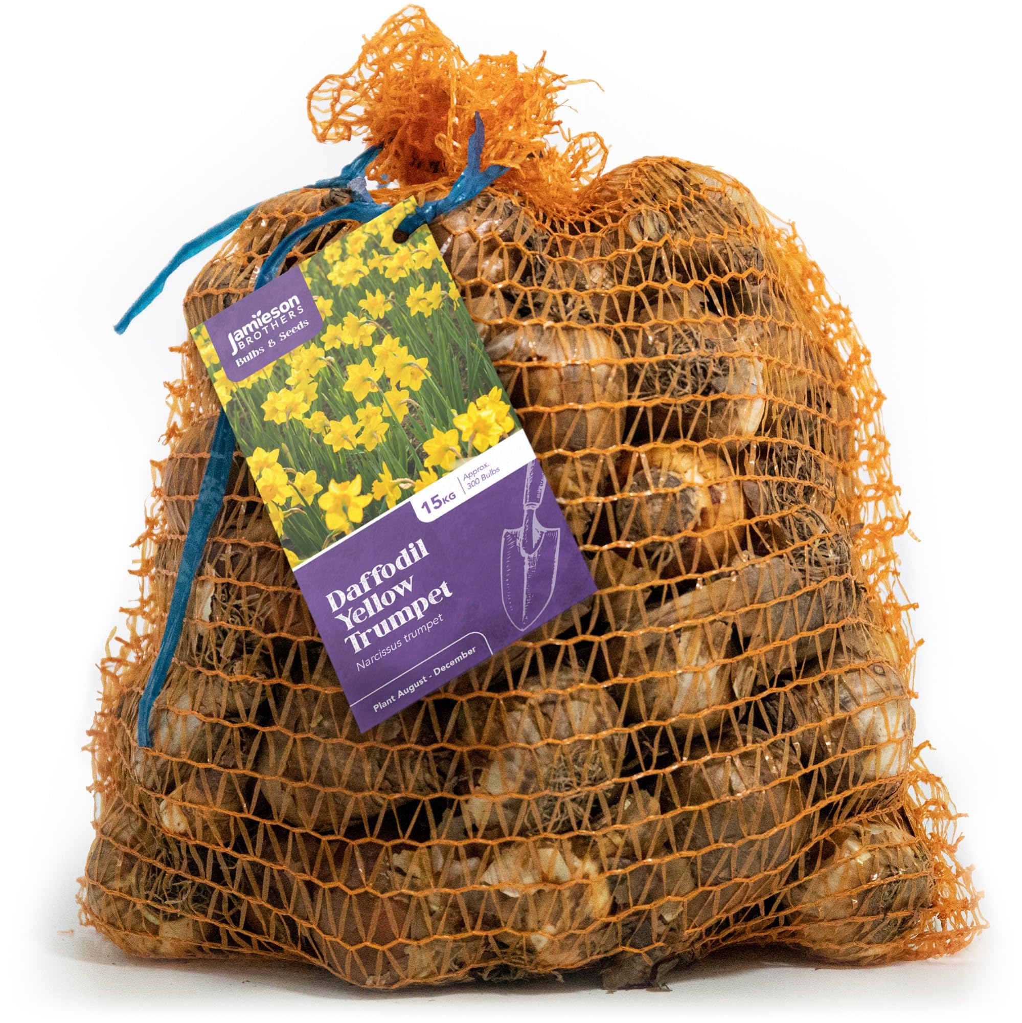 Yellow Trumpet Daffodil Bulbs 15kg (Approx. 270-300 Bulbs) Plant in UK Outdoor Autumn Gardens Now, Borders & Flowerbeds – by Jamieson Brothers