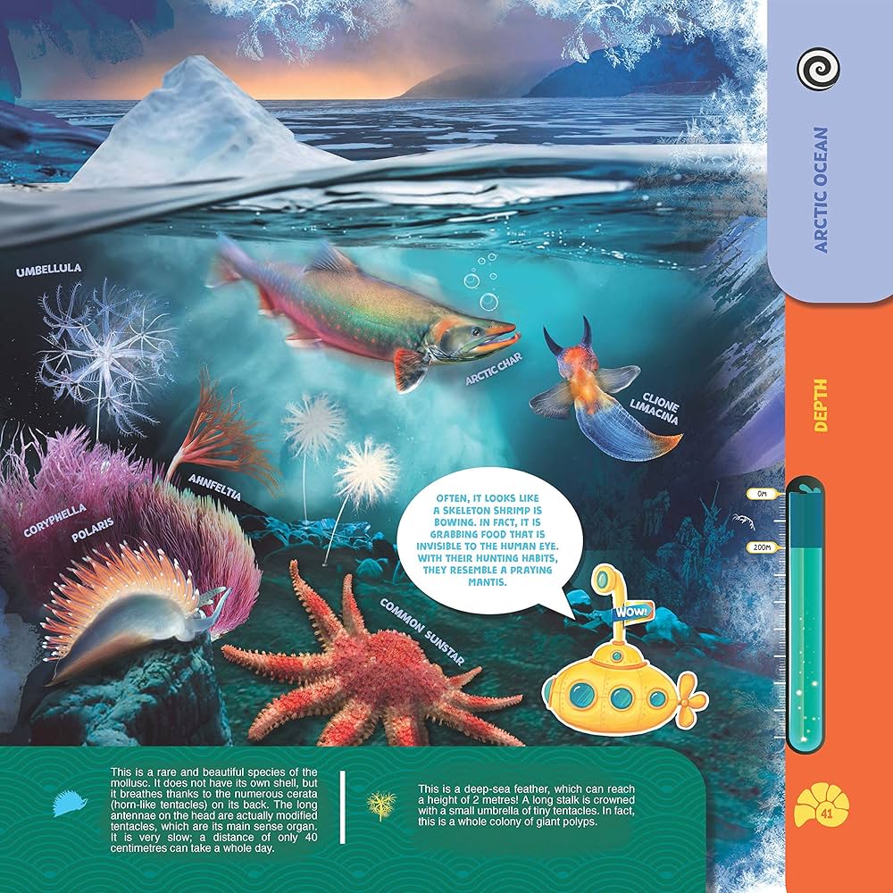 その他 Wondrous Secrets of the Ocean Realm [DVD] Watch Wondrous Secrets of the Ocean Realm: The Great Whales