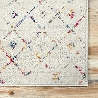 Vista 36 de nuLOOM 2x8 Alfombra de Área Blythe Marroquí, Negro y Blanco, Diseño Bohemio Desvanecido, Resistente a Manchas, Para Dormitorio, Comedor, Sala