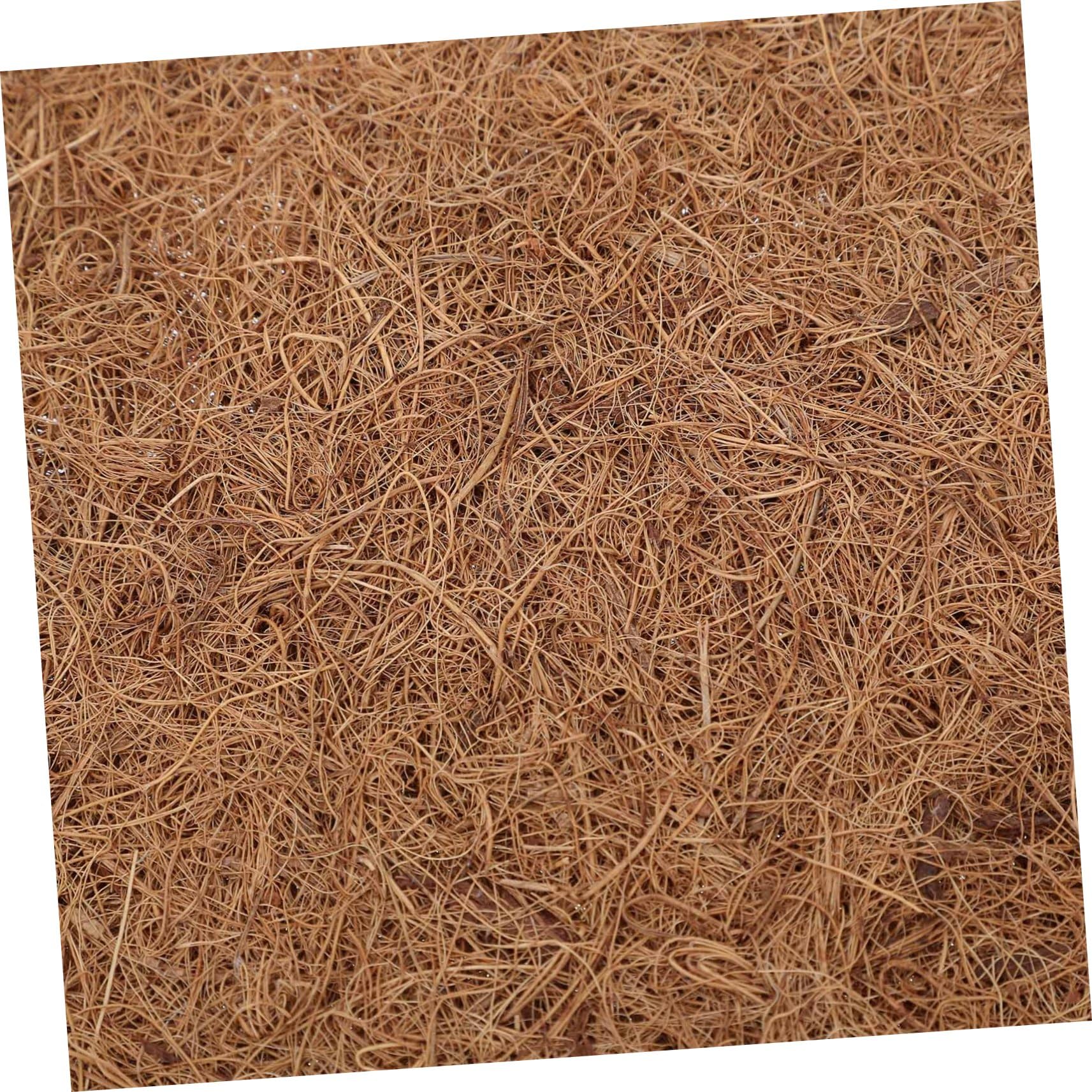 4pezzi Tappetino Fibra di Cocco per Rettili Naturale Materassino Antiscivolo per Terrari di Draghi Barbuto e Misura Sicuro e Confortevole per Tartarughe e Altri Rettili