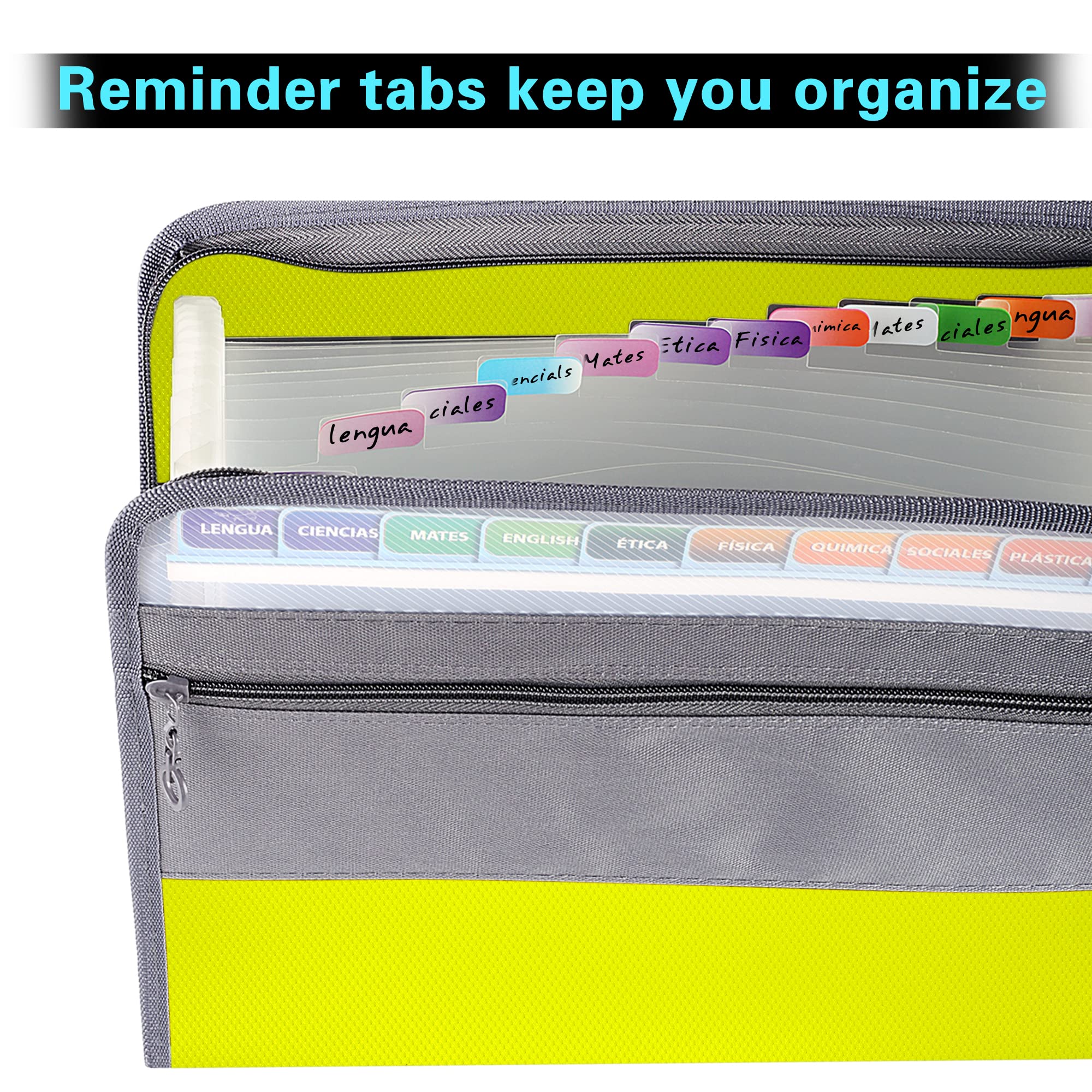 SKYDUE 2 En 1 Carpetas De Acordeón, A4, 5 Compartimentos, Plástico, Escolares