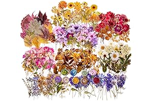 Dried Flower Stickers: Elevate Your Creativity and Journaling Experiences