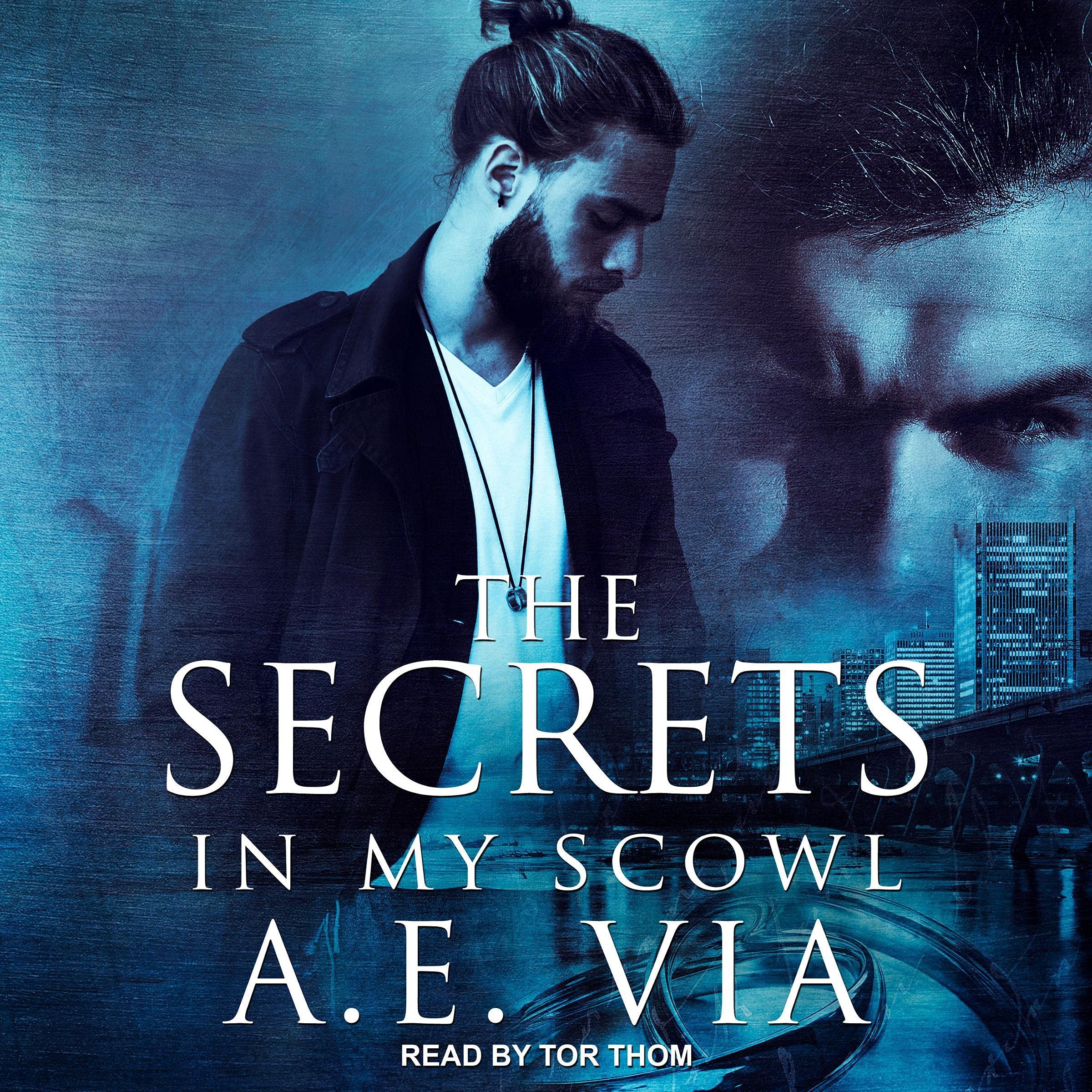 Cover art for The Secrets in My Scowl