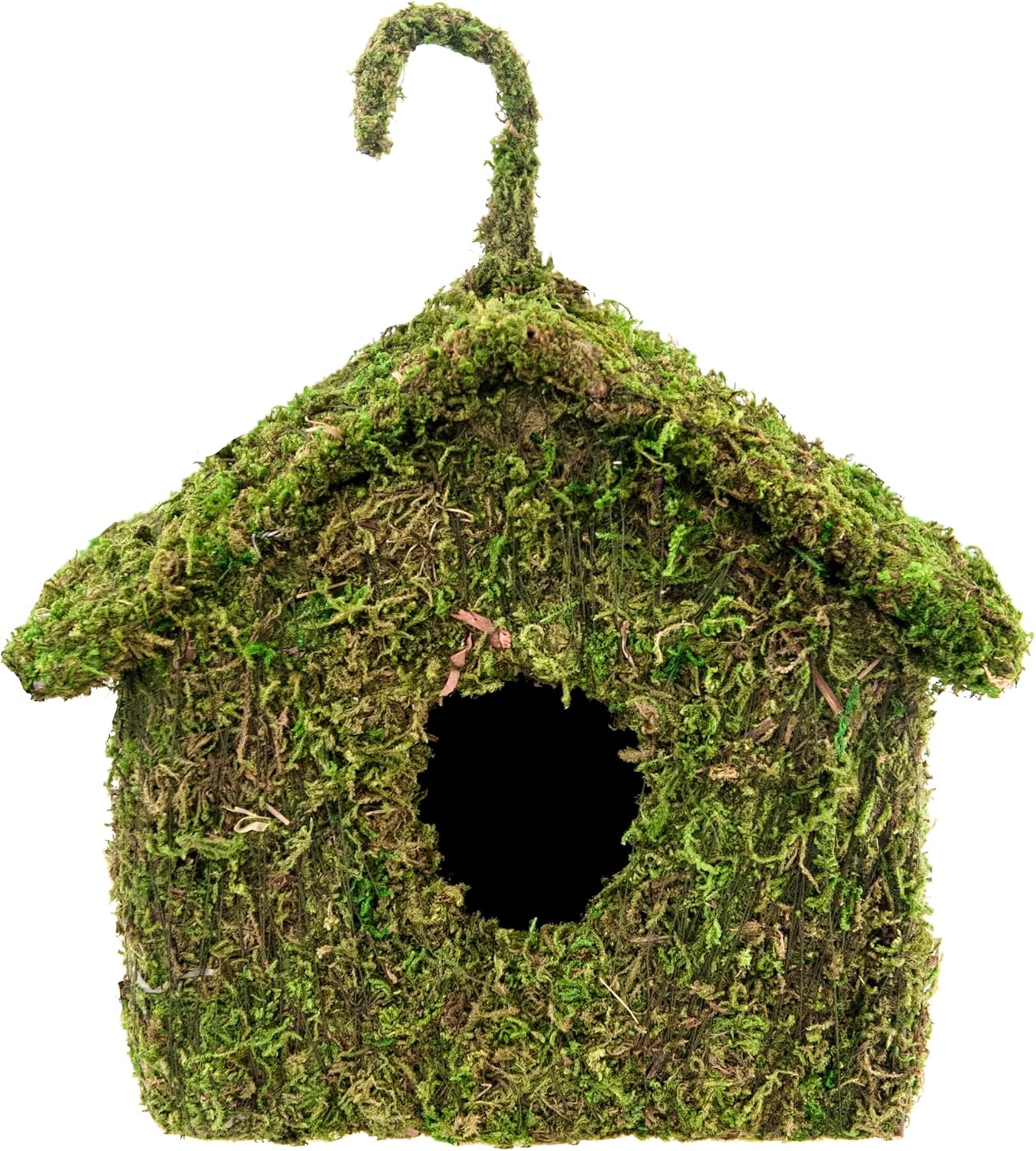 SuperMoss (56036) Maison Birdhouse, 6 by 8-Inch, Fresh Green