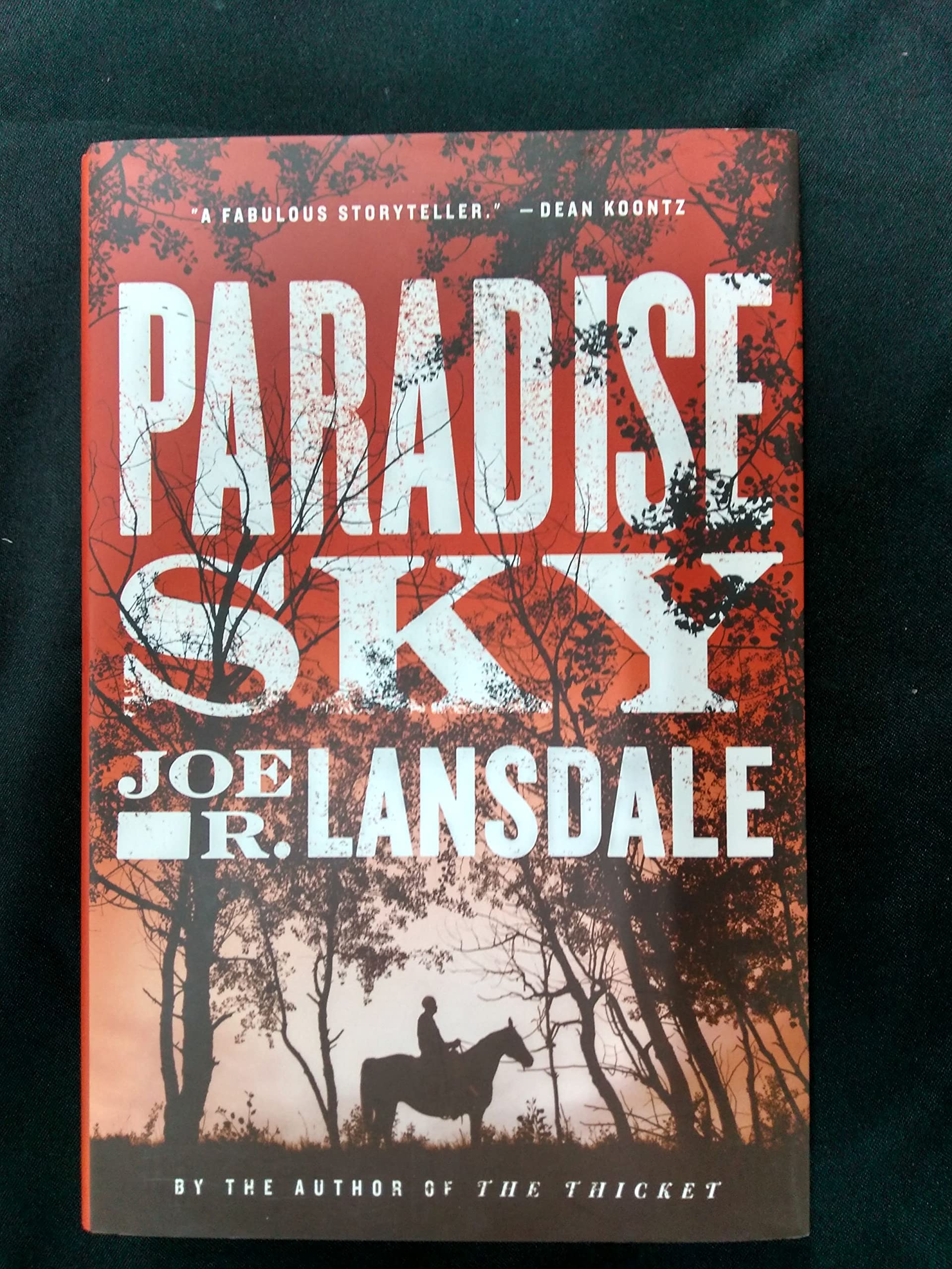 Buy Paradise Sky — BookShops.in