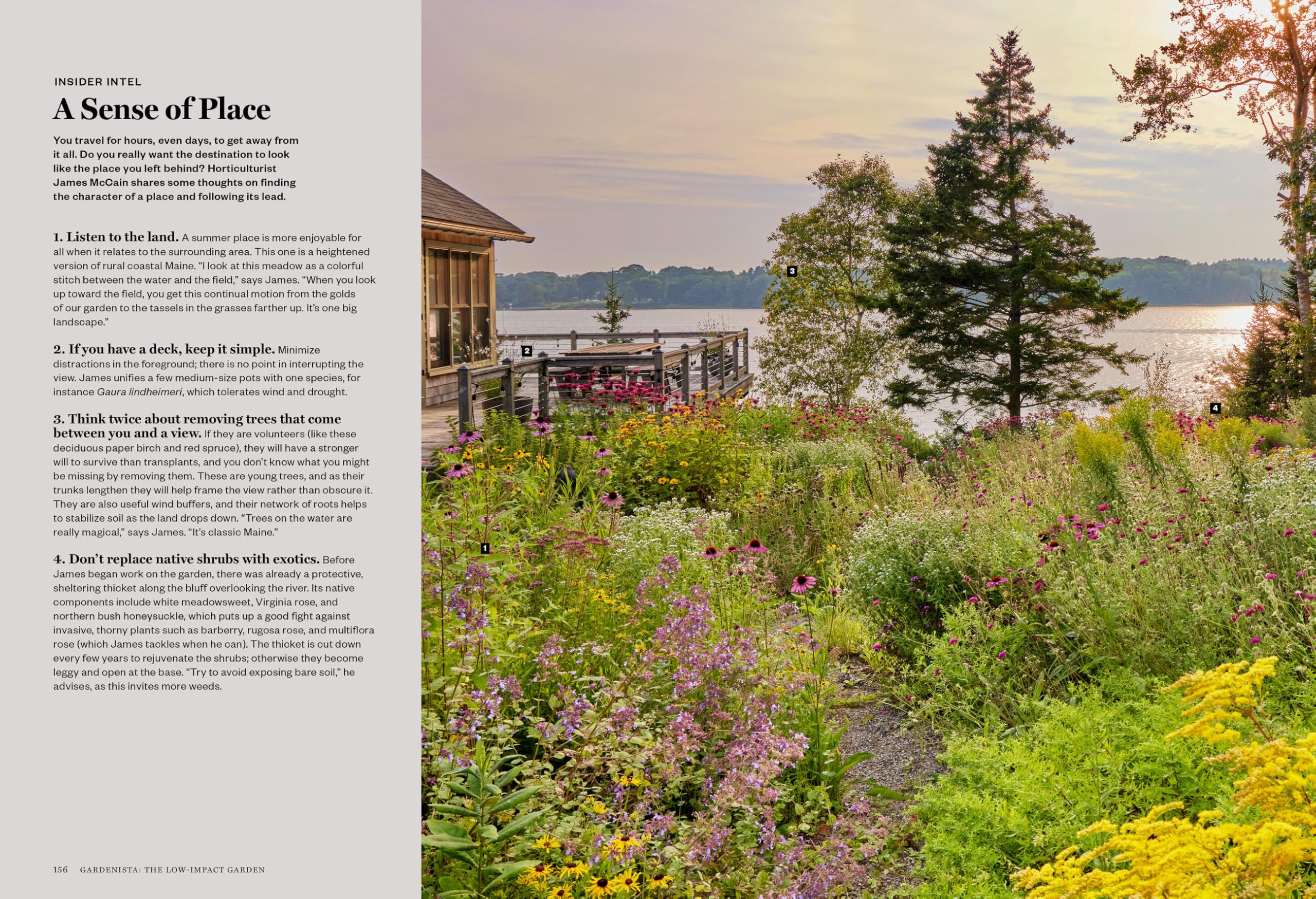Gardenista: The Low-Impact Garden: A Sourcebook for Sustainable Outdoor Spaces