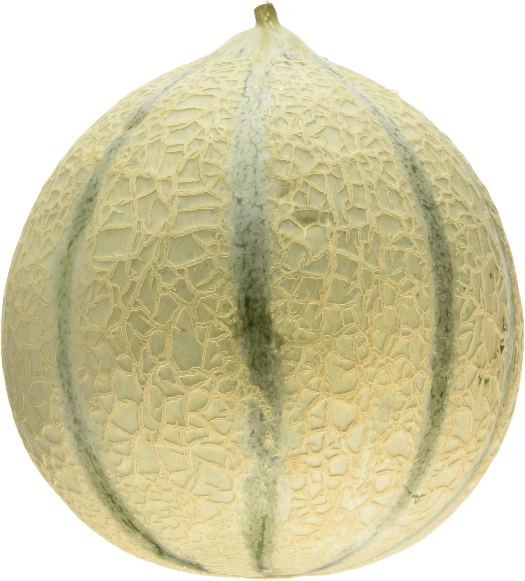 Curious Cantaloupe Melon Each