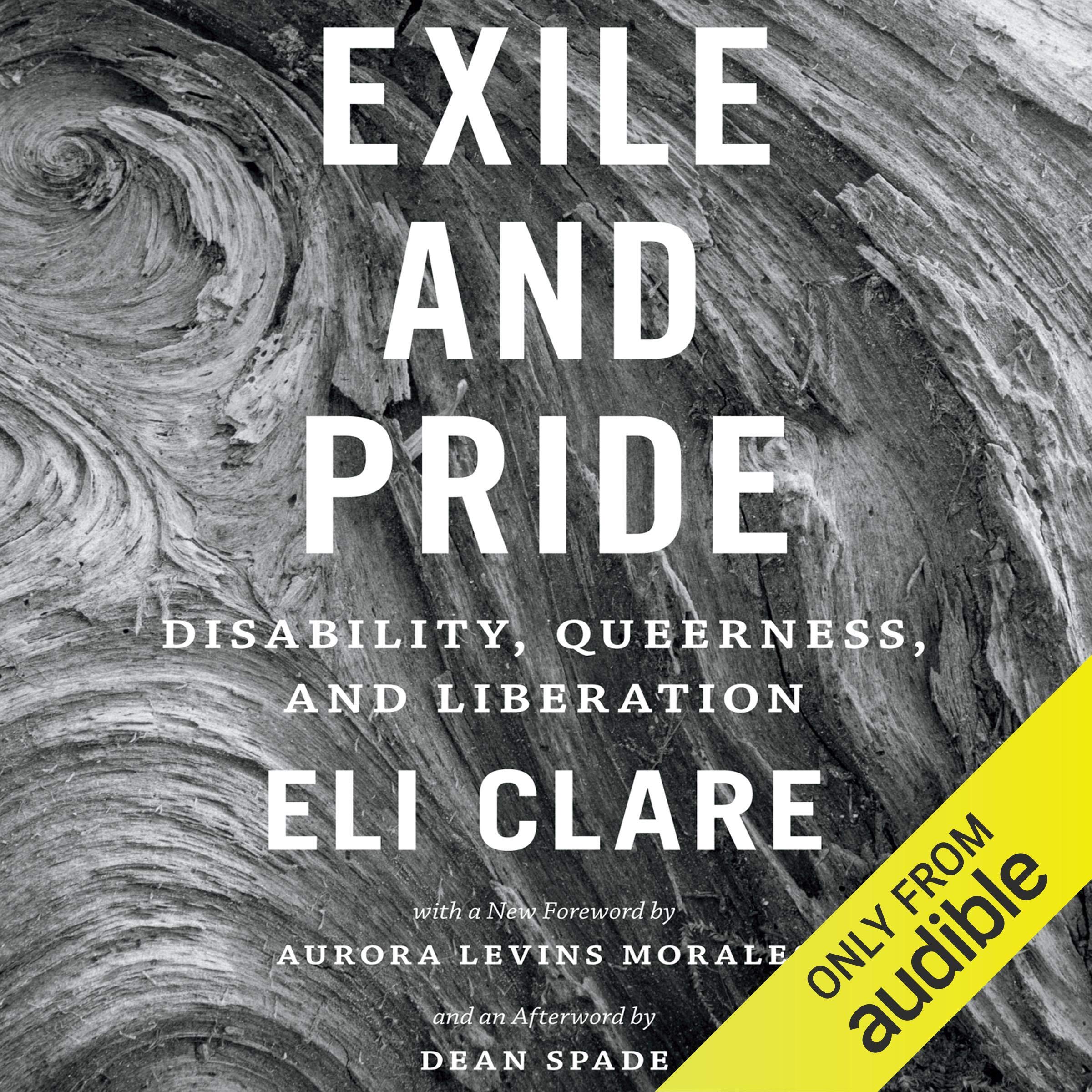 Cover art for Exile and Pride
