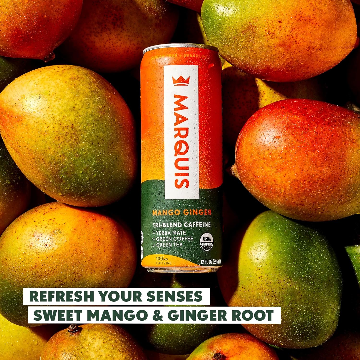 Marquis | Organic Energy Drink Alternative with Organic Plant Based Caffeine | Vegan Zero Calorie Sugar Free Sparkling Yerba Mate | Keto Energy Drinks Alternative | Super Berry x1+ Mango Ginger x1