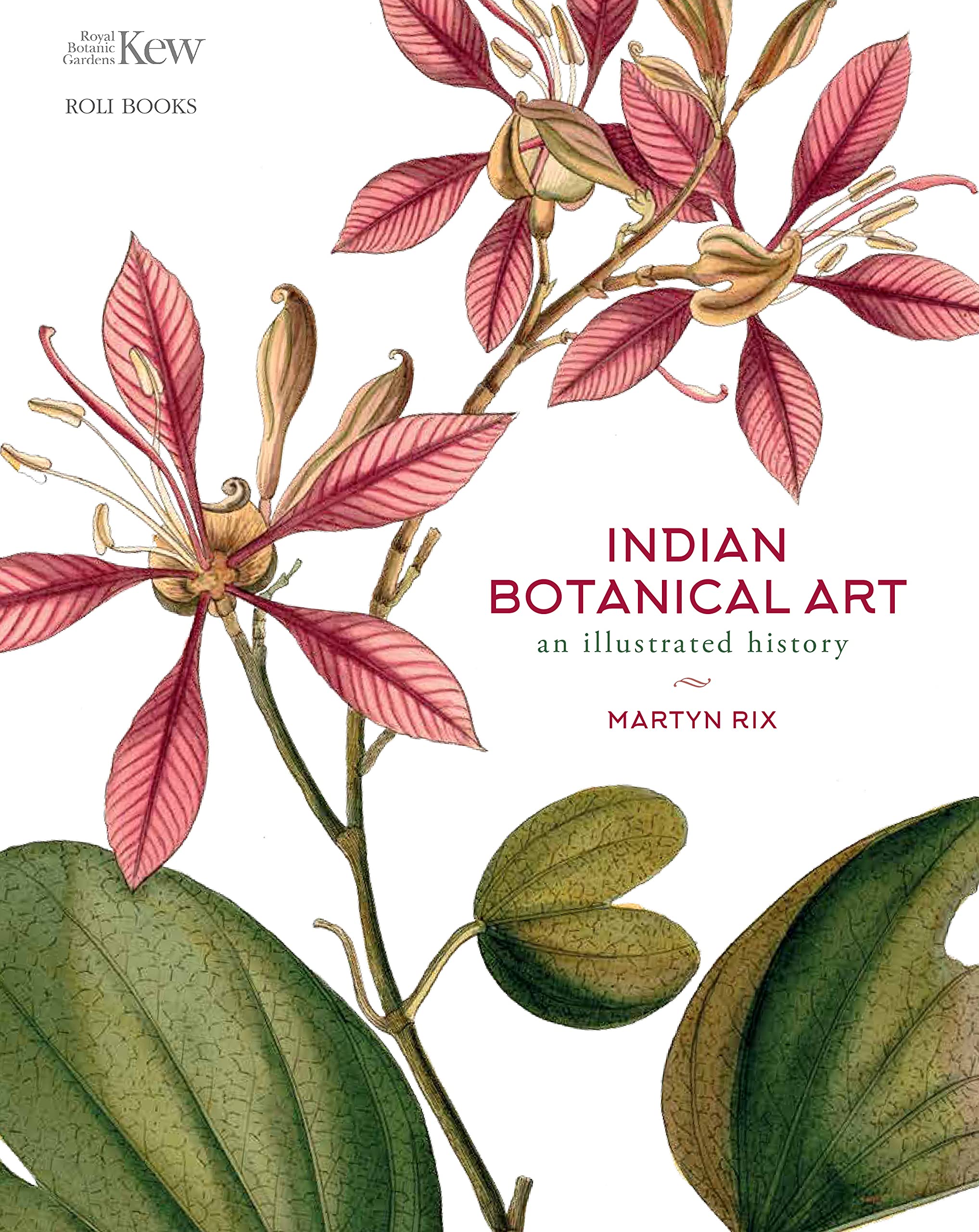 Indian Botanical Art : an illustrated history