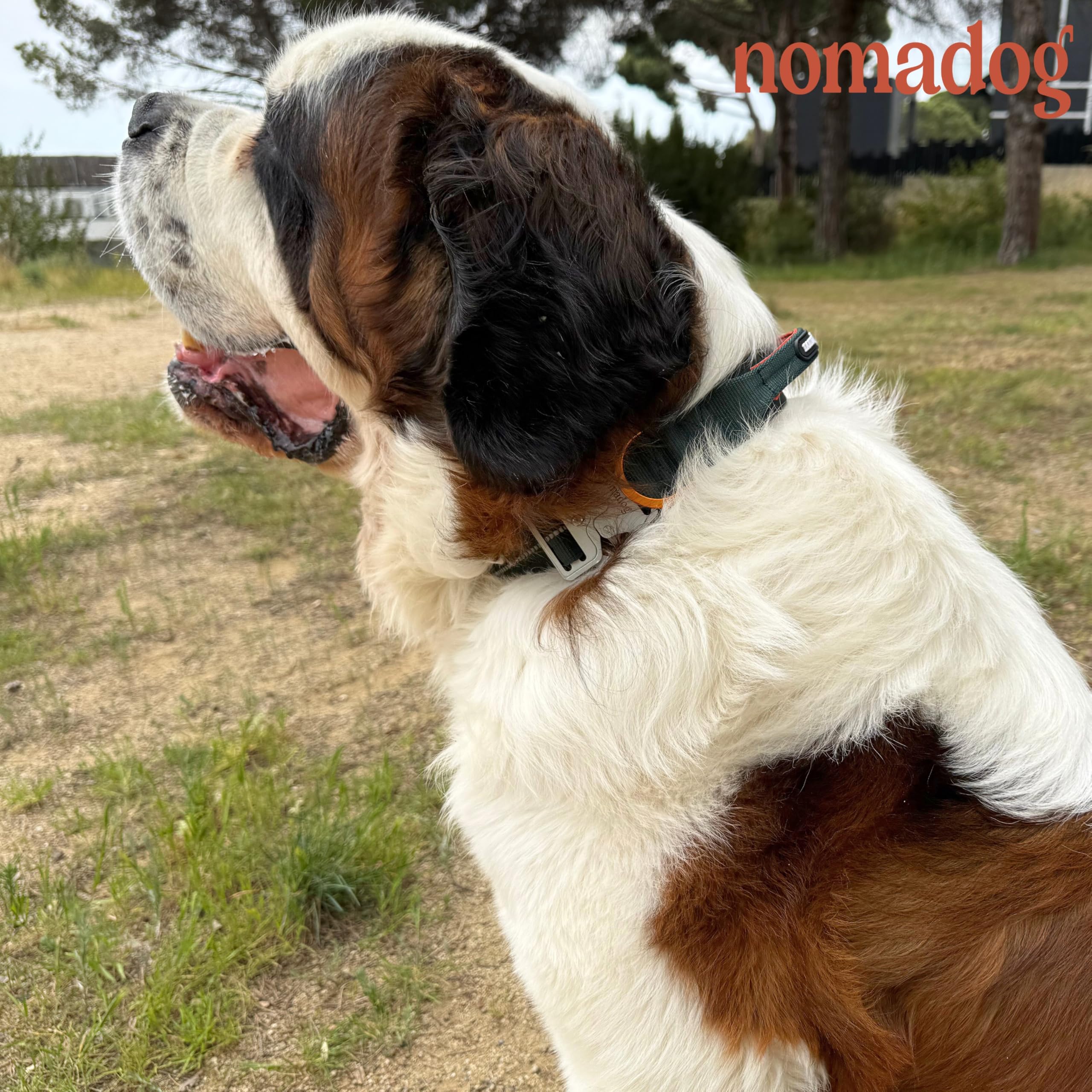 Nomadog Trailblazer Hundehalsband mit Griff für Große Hunde - Premium Aluminium Schnalle, Strapazierfähiges taktisches Halsband, Verstellbar, Gepolstert, Reflektierend (XL)
