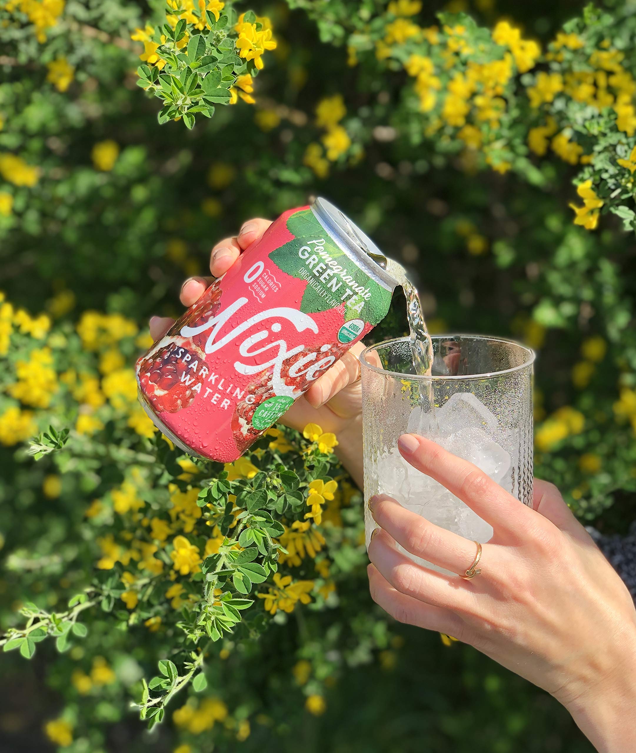 Nixie Sparkling Water, Pomegranate Green Tea, Lightly Caffeinated