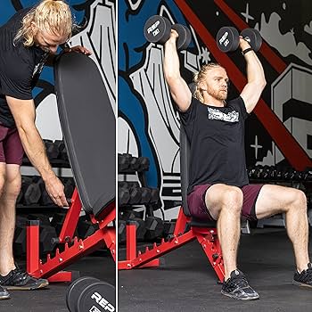 Amazon.co.jp: Rep アジャスタブルベンチ AB-3100 V3 (マット