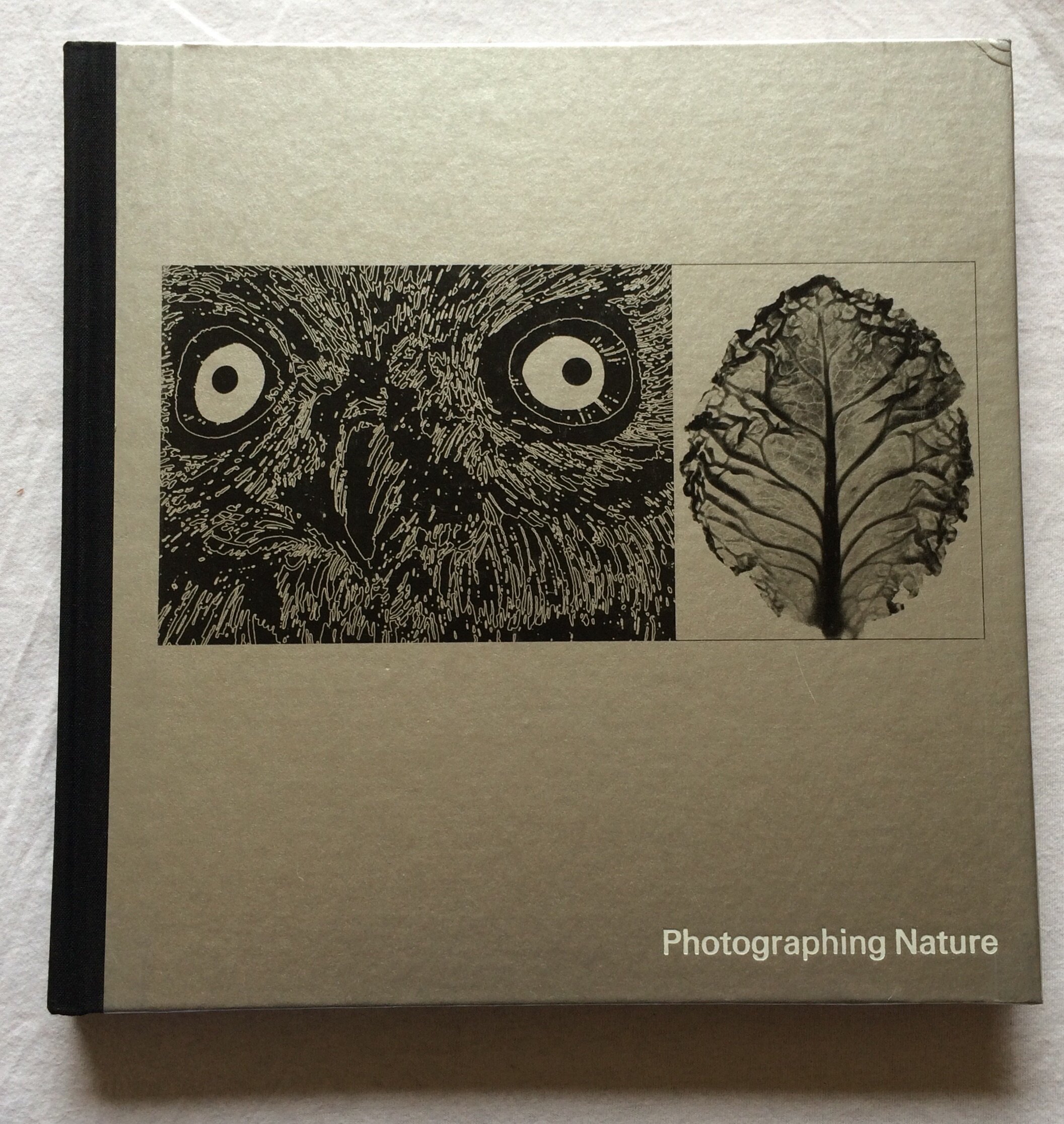 Photographing Nature