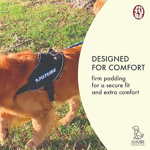 Miniatura 2 de Jujube Arnés para perro (grande)