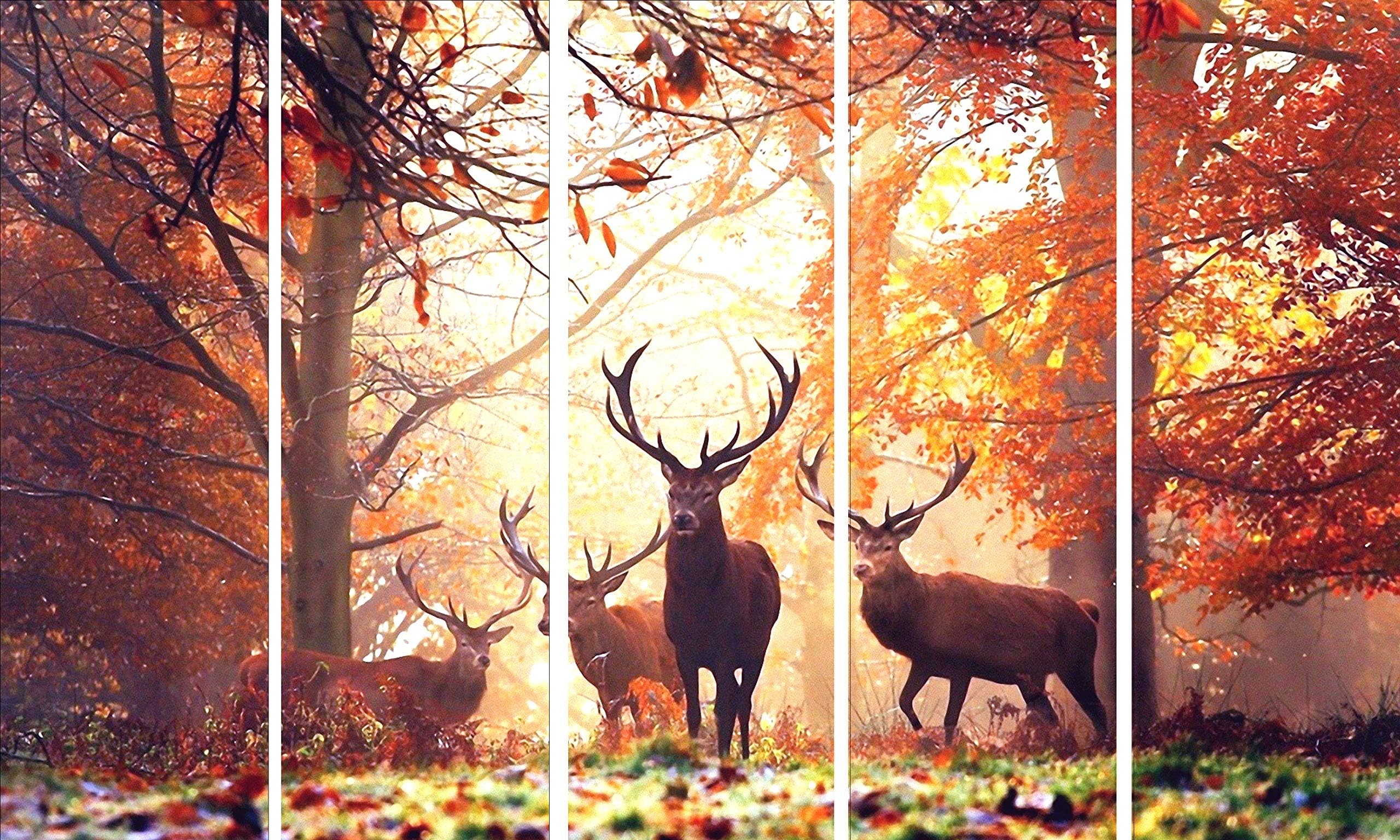 Kyara arts Multiple Frames, Beautiful 4 dears Nature Wall Painting for Living Room, Bedroom, Office, Hotels, Drawing Room Wooden Framed Digital Painting (76cmx148cm)