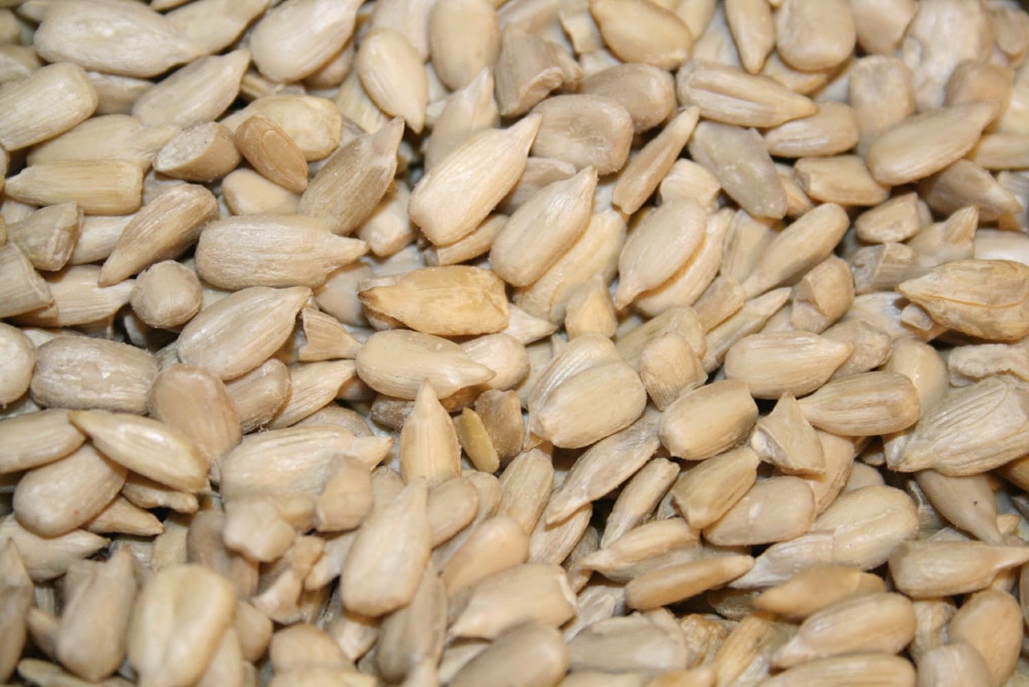 Sunflower Seeds, Raw, Hulled, 50 Bulk Grocery & Gourmet Food