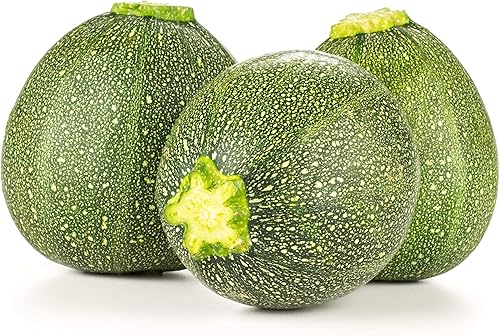 Miniatura 5 de Semillas redondas de calabaza de verano de calabacín para plantar, (ocho bolas de calabacín), más de 40 semillas tradicionales por paquete, semillas