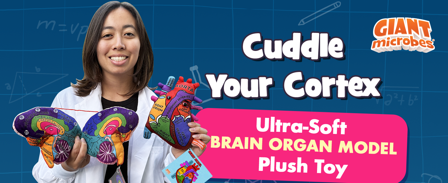GIANTmicrobes Brain Model, Human Brain Anatomy Model, Brain Model for Kids, Brain Model for Neuroscience, Brain Model for Teaching, Brain Model for Psychology, 3D Brain Model, Brain Anatomy Toy