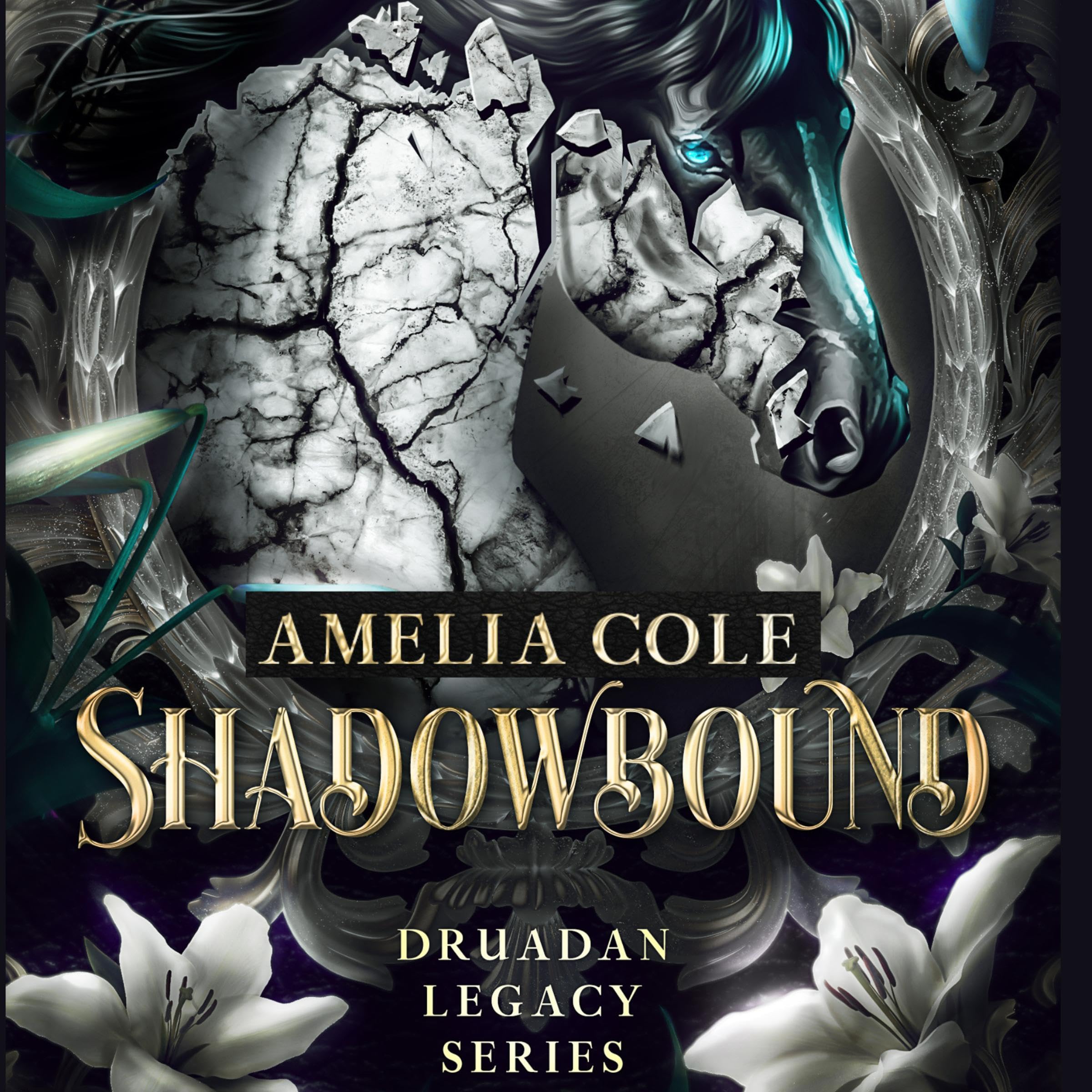 Cover art for Shadowbound: Druadan Legacy, Book 1