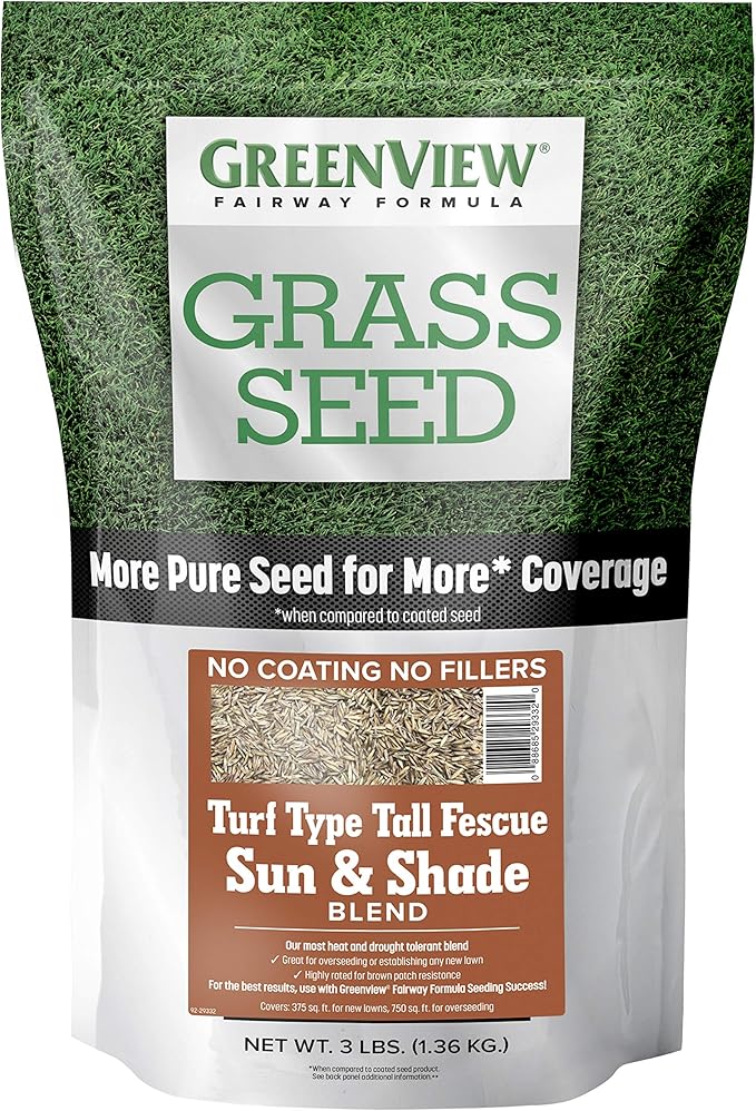 The Best Rated Grass Seed in 2022