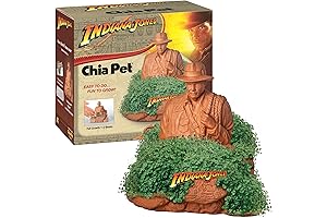 Chia Trump Revives Ancient Art, A Fun Twist For Modern Planter