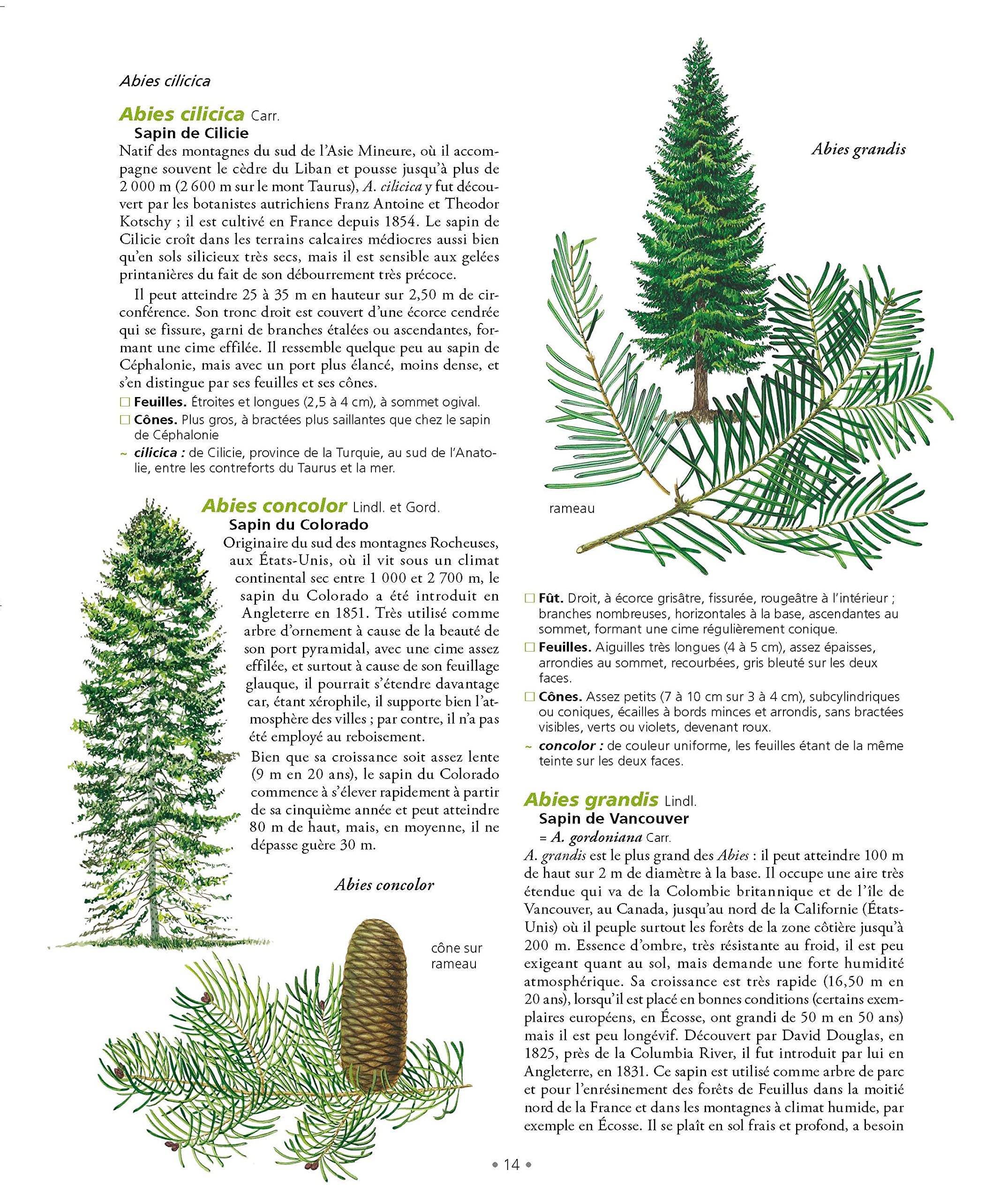 Le Grand Larousse des arbres