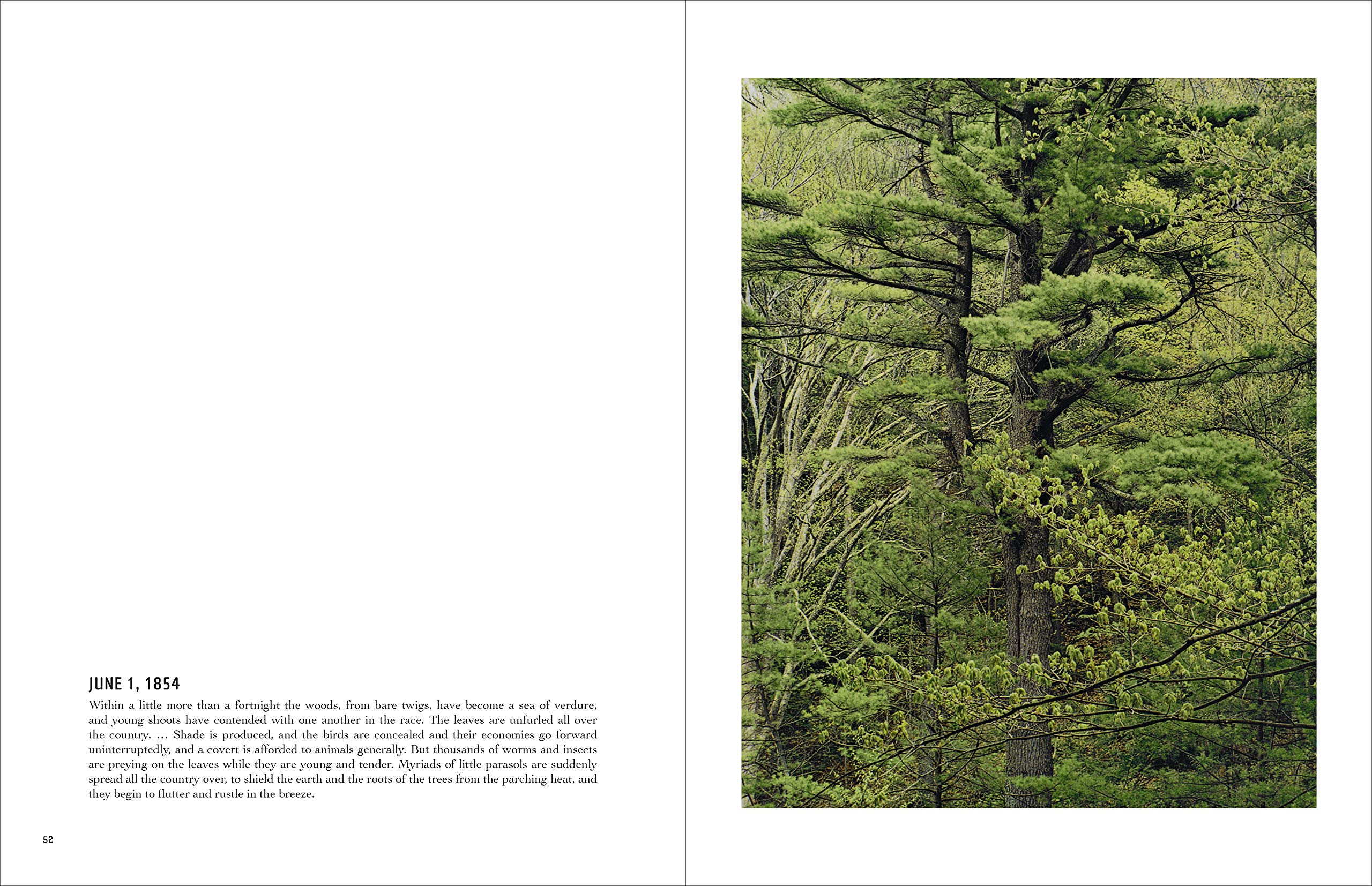 In Wildness is the Preservation of the World