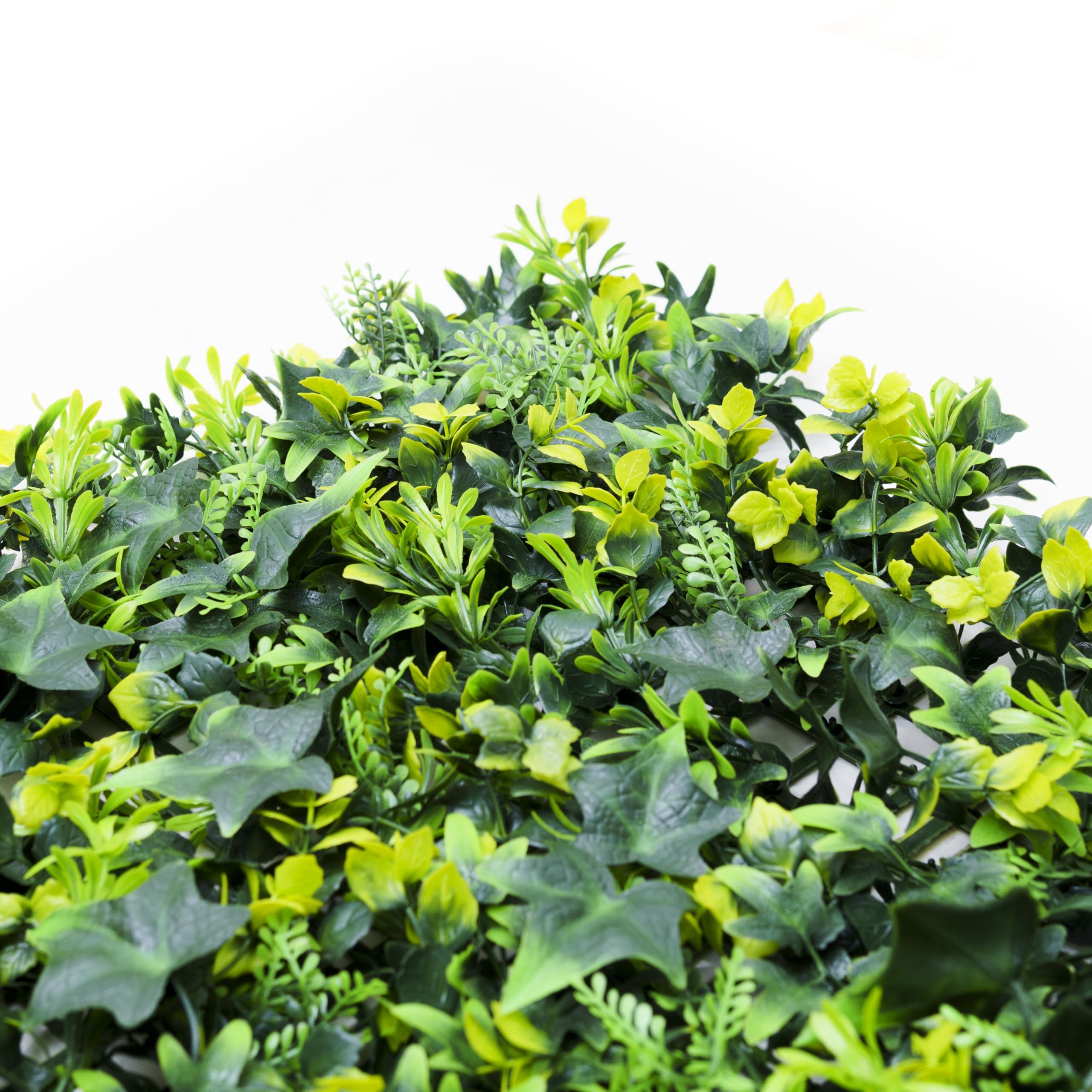 Jardín Vertical Artificial Parana para Exterior e Interior | Pack de 8 Paneles 50x50 cm (2m²) | Plantas Decorativas para Pared Hogar | Protección UV | Diseño Moderno | Muro de Hiedra