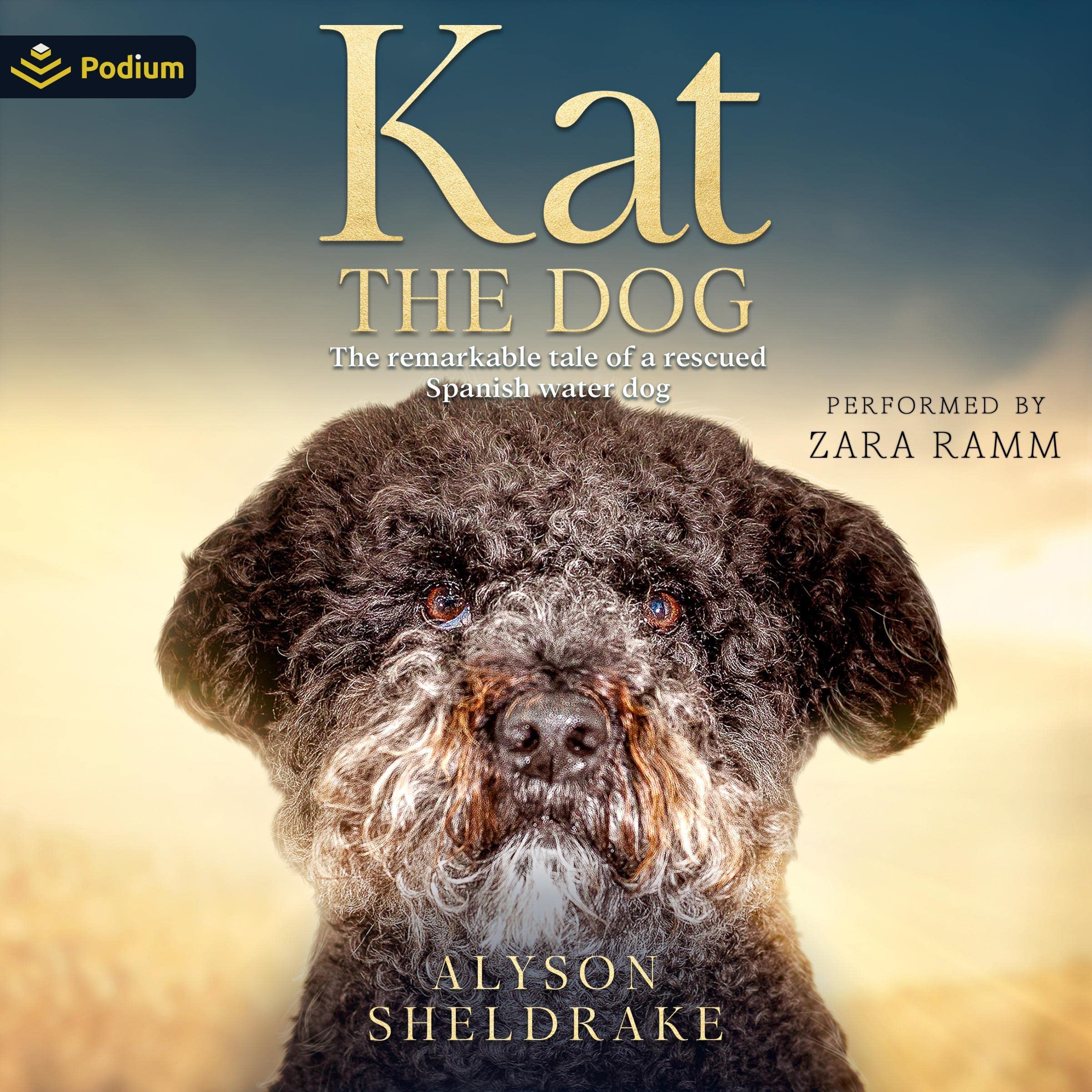 Cover art for Kat the Dog: The Remarkable Tale of a Rescued Spanish Water Dog