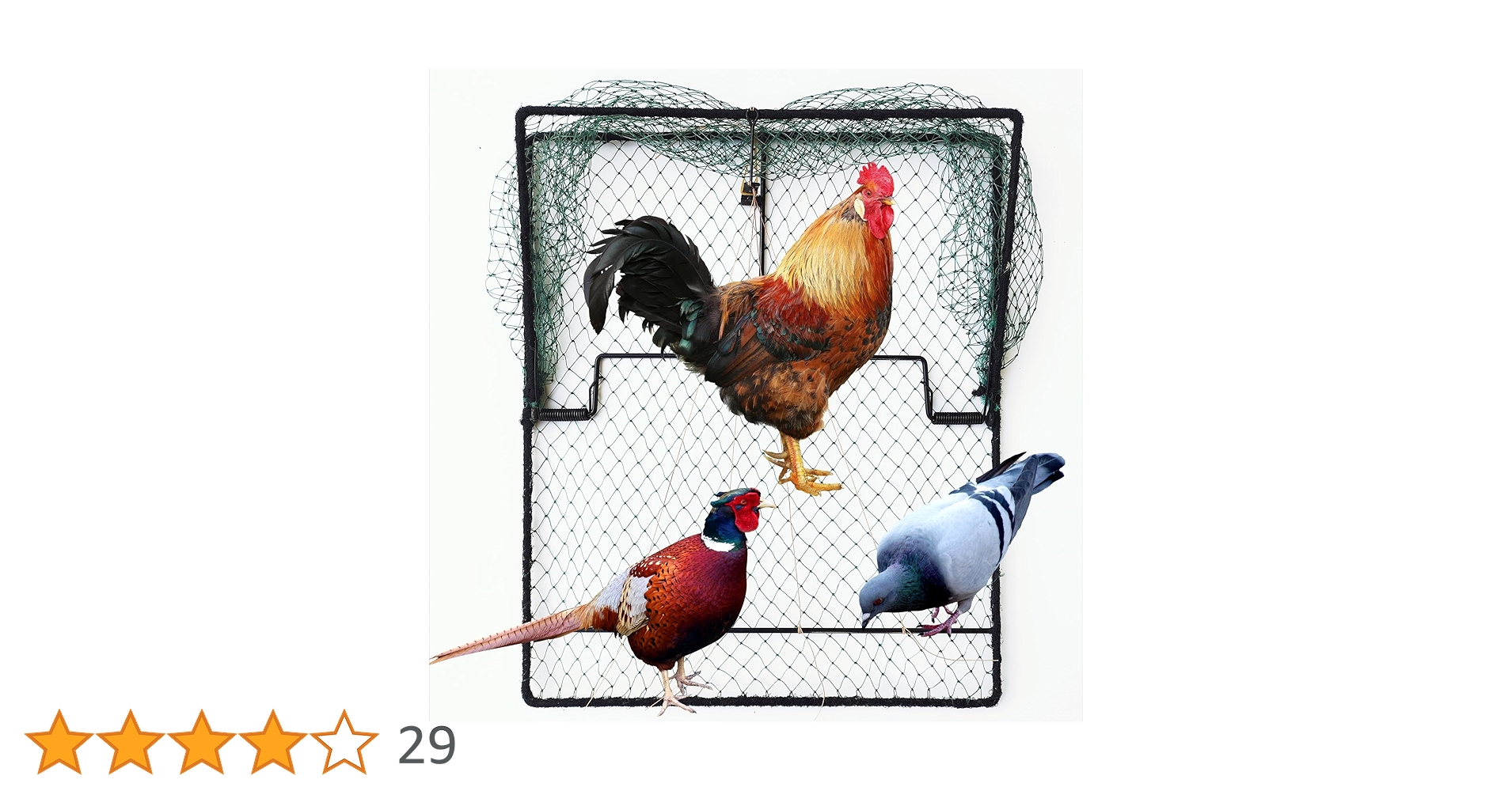 9187TcDhzaL.jpg_BO30,255,255,