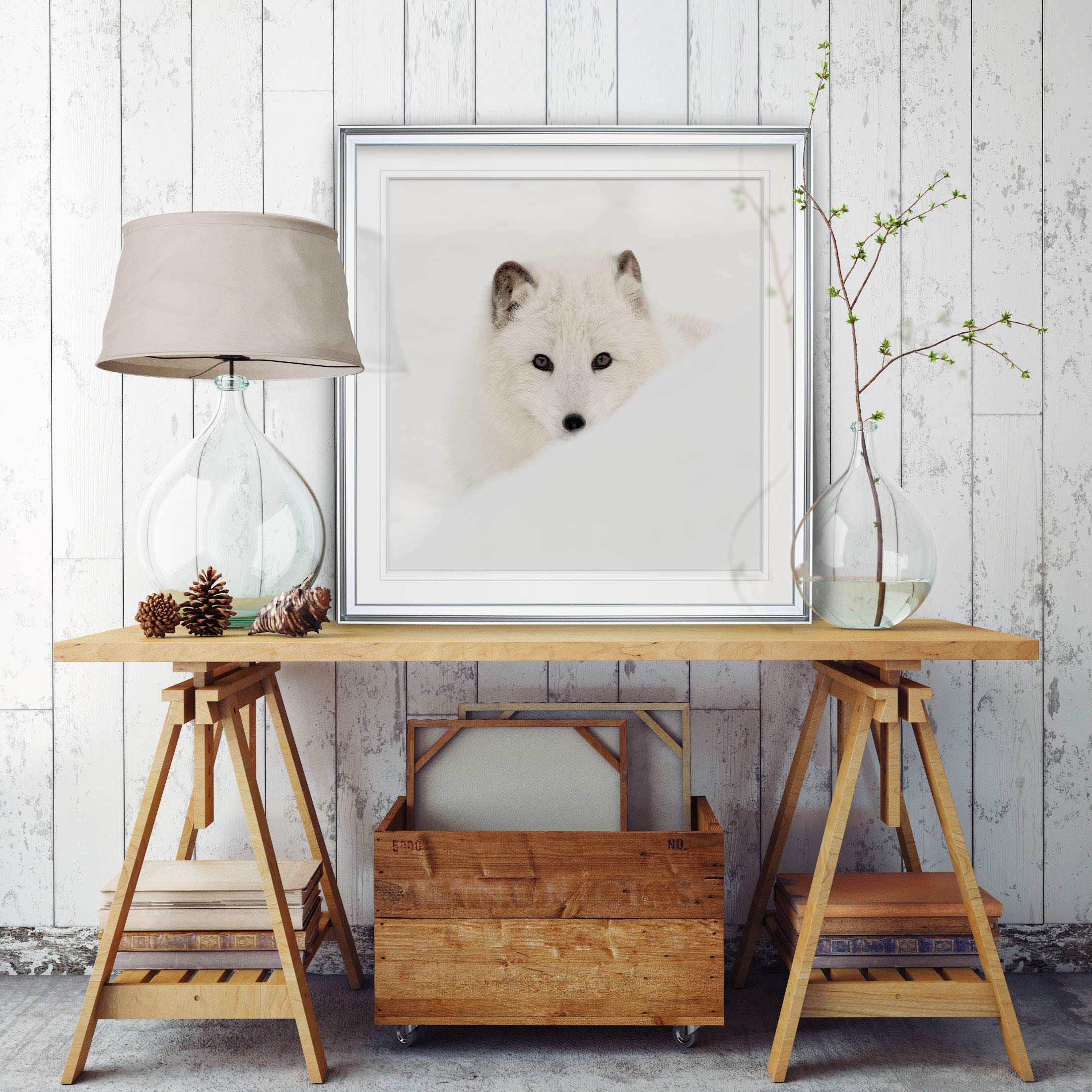 Amazon.co.jp: Renditions Gallery アークティックフォックスアート