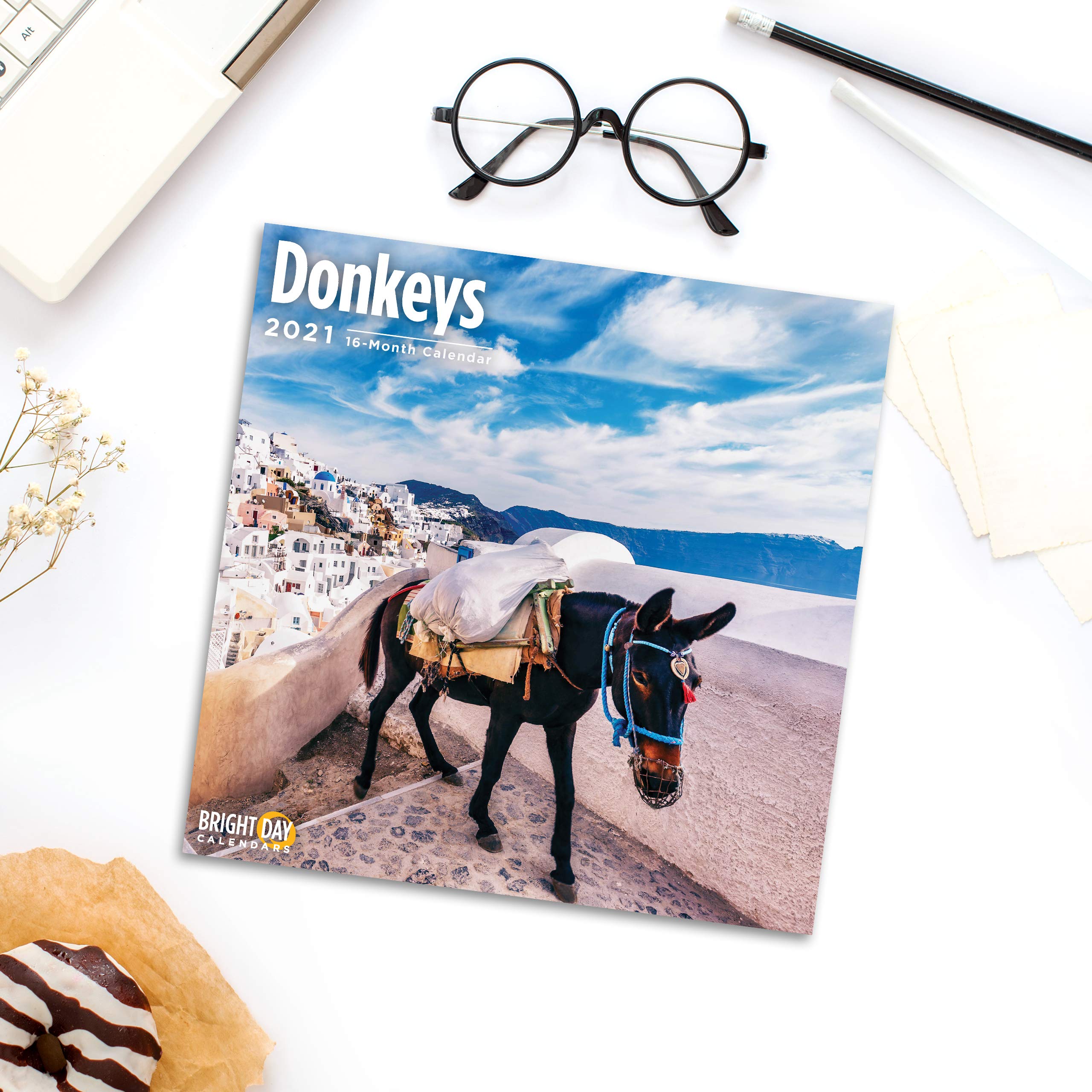 Bright Day Calendars 2021 Donkeys Wall Calendar By Bright Day 12 X 12 bright-day-calendars-2021-donkeys-wall-calendar-by-bright-day-12-x-12