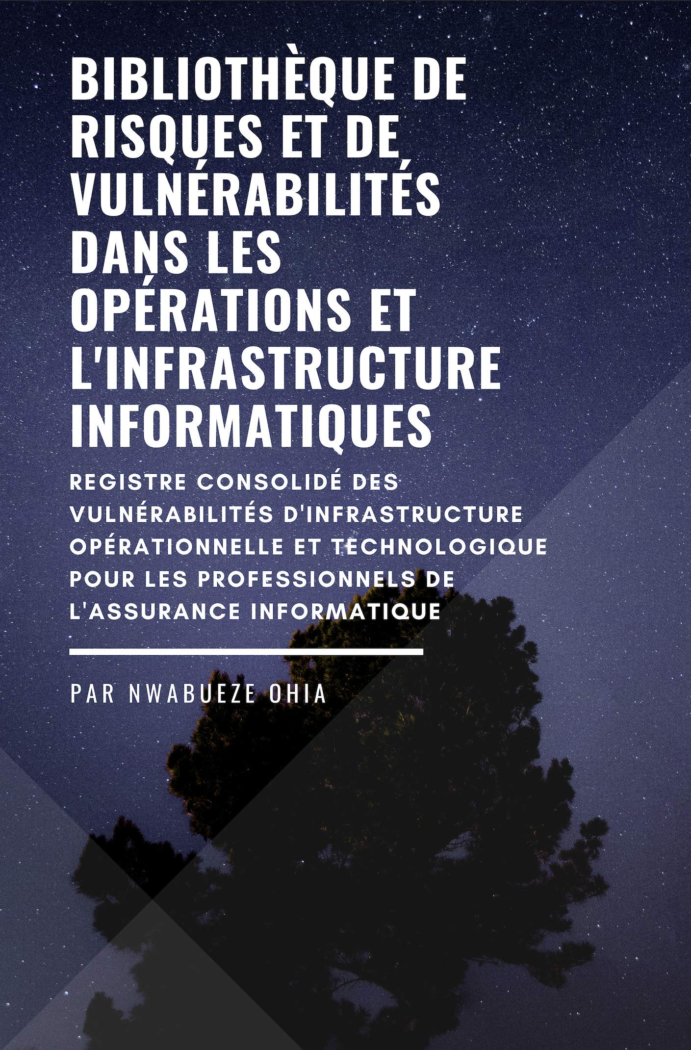 Bibliothèque de risques et de vulnérabilités dans les opérations et l'infrastructure informatiques: Un registre des risques / vulnérabilités pour les professionnels de l'assurance informatique
