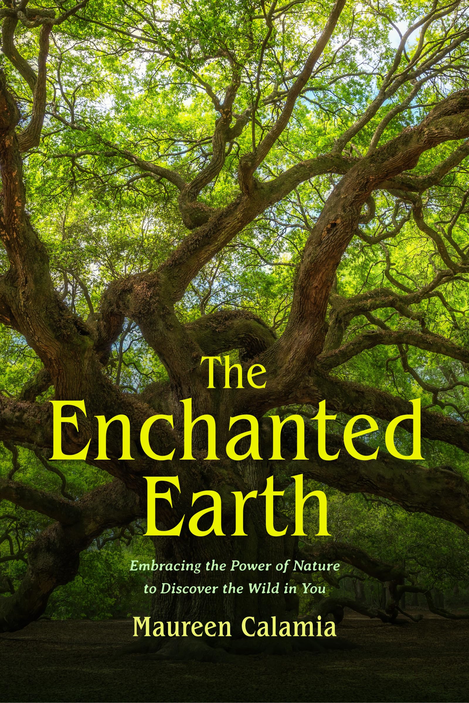 Kindle eBooks in English