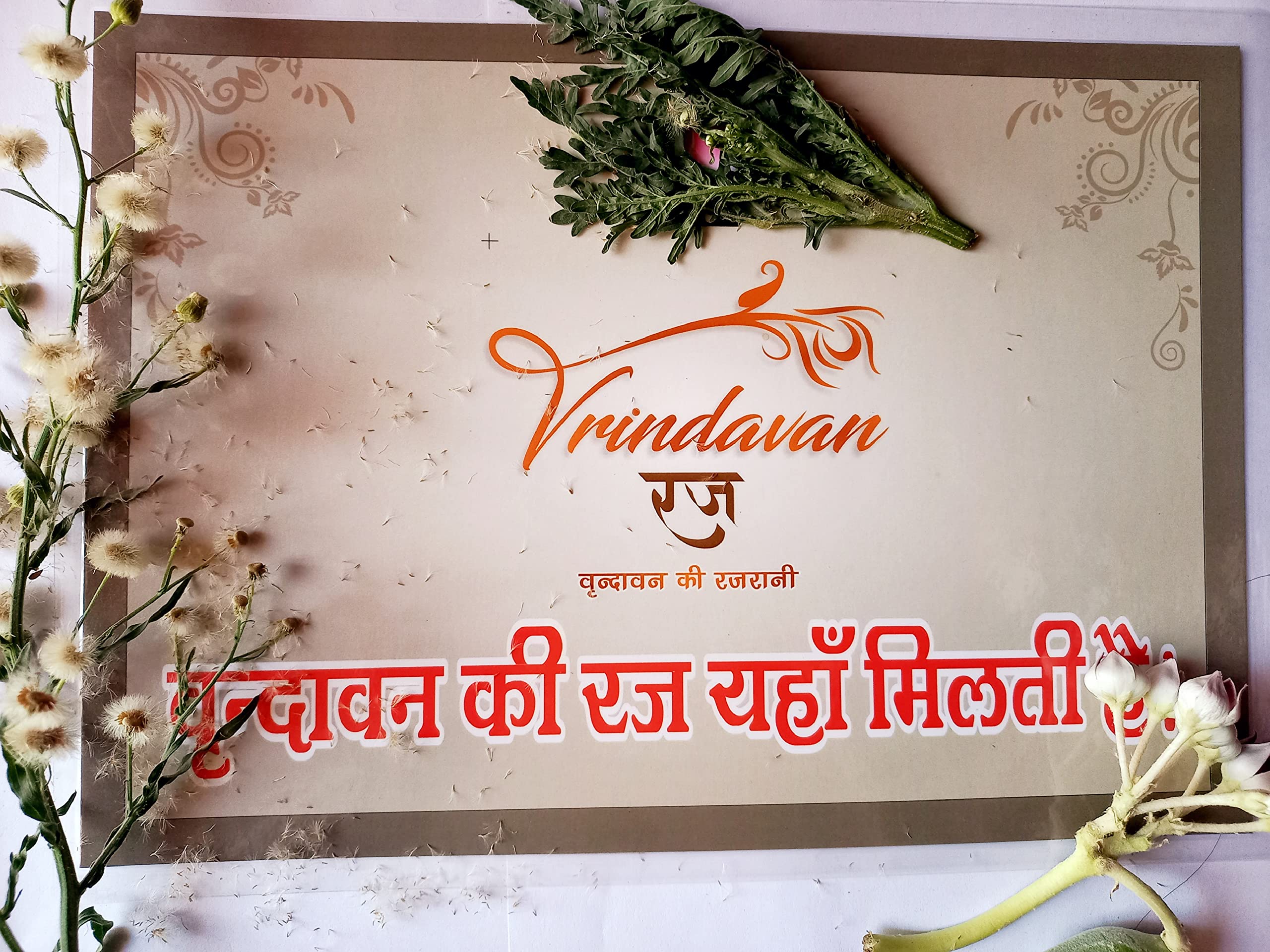 Vrindavan Ki Rajrani