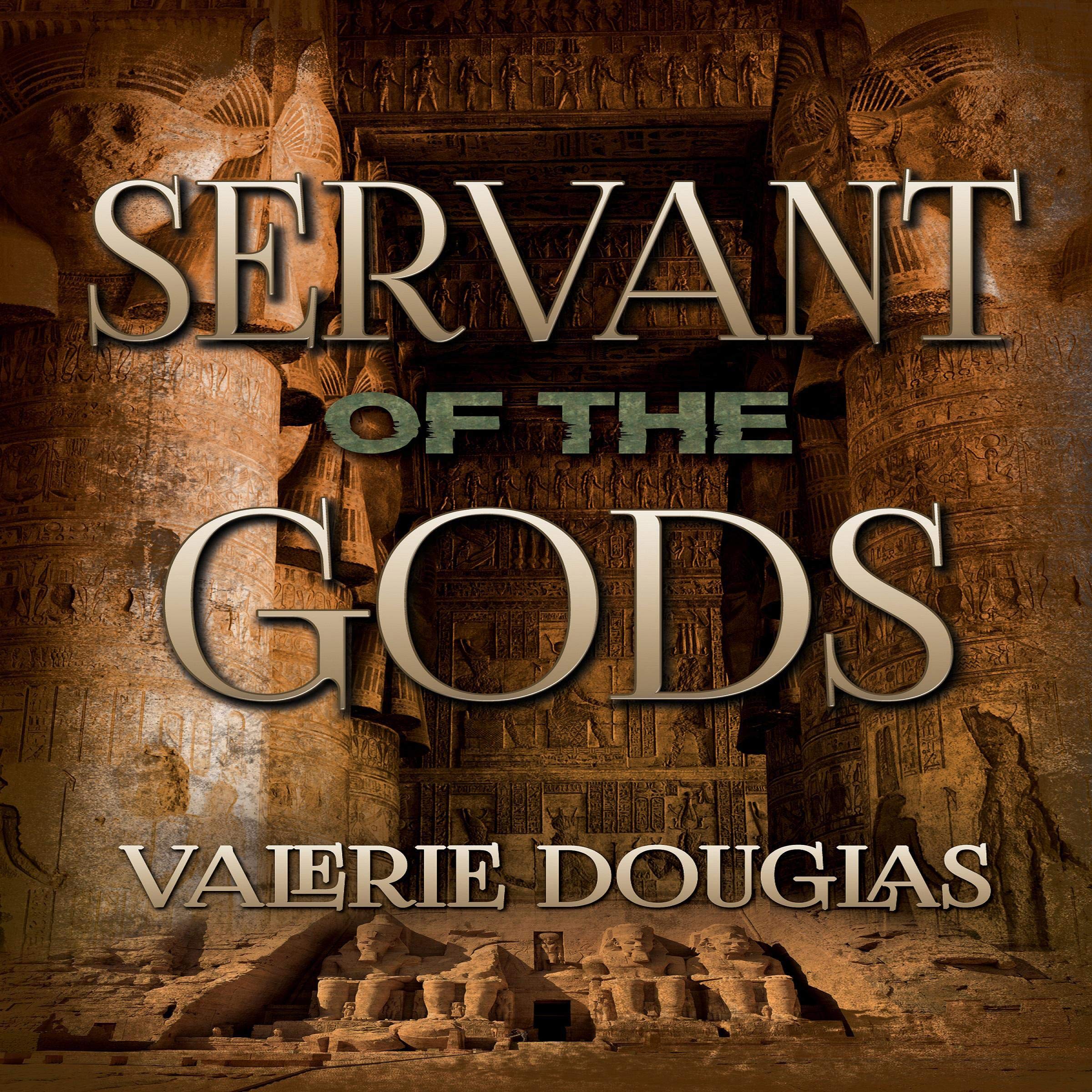 Cover art for Servant of the Gods
