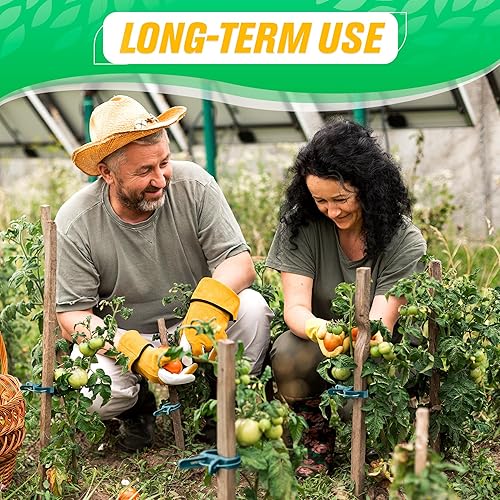 Miniatura 7 de Dimrom 200 clips para jardín, enrejado de cuerda para tomate, lazos para plantas de exterior, plantas trepadoras, soporte de plantas