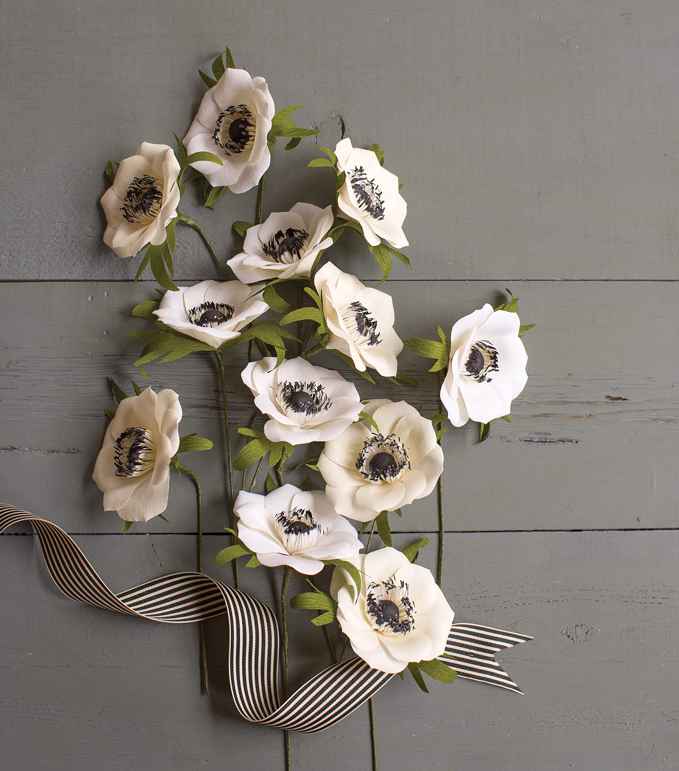 アネモネ400ml♪ FE211D_LOL_preset_proflowers-