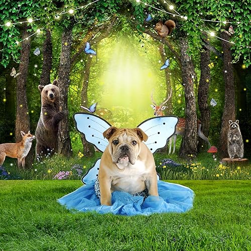 Miniatura 6 de Newsely Telón de fondo de bosque lluvioso encantado de primavera, 7 pulgadas de ancho x 5 pulgadas de alto, fotografía de hadas jardín mágico verde