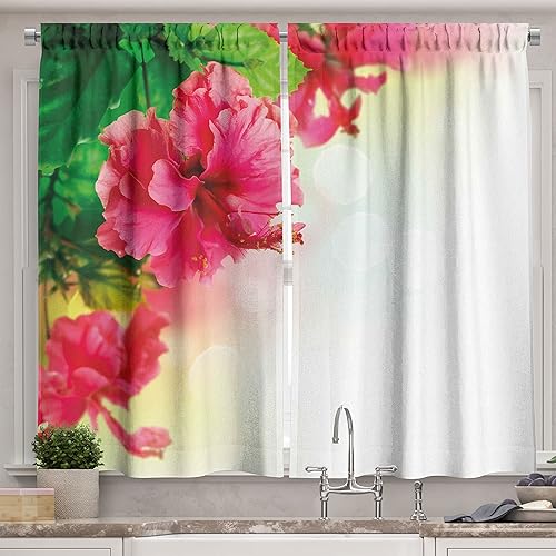 Ambesonne Cortinas florales de cocina, flores de hibisco, brotes de flores de hoja, fragancia de flores, imagen de jardín, cortinas de ventana,