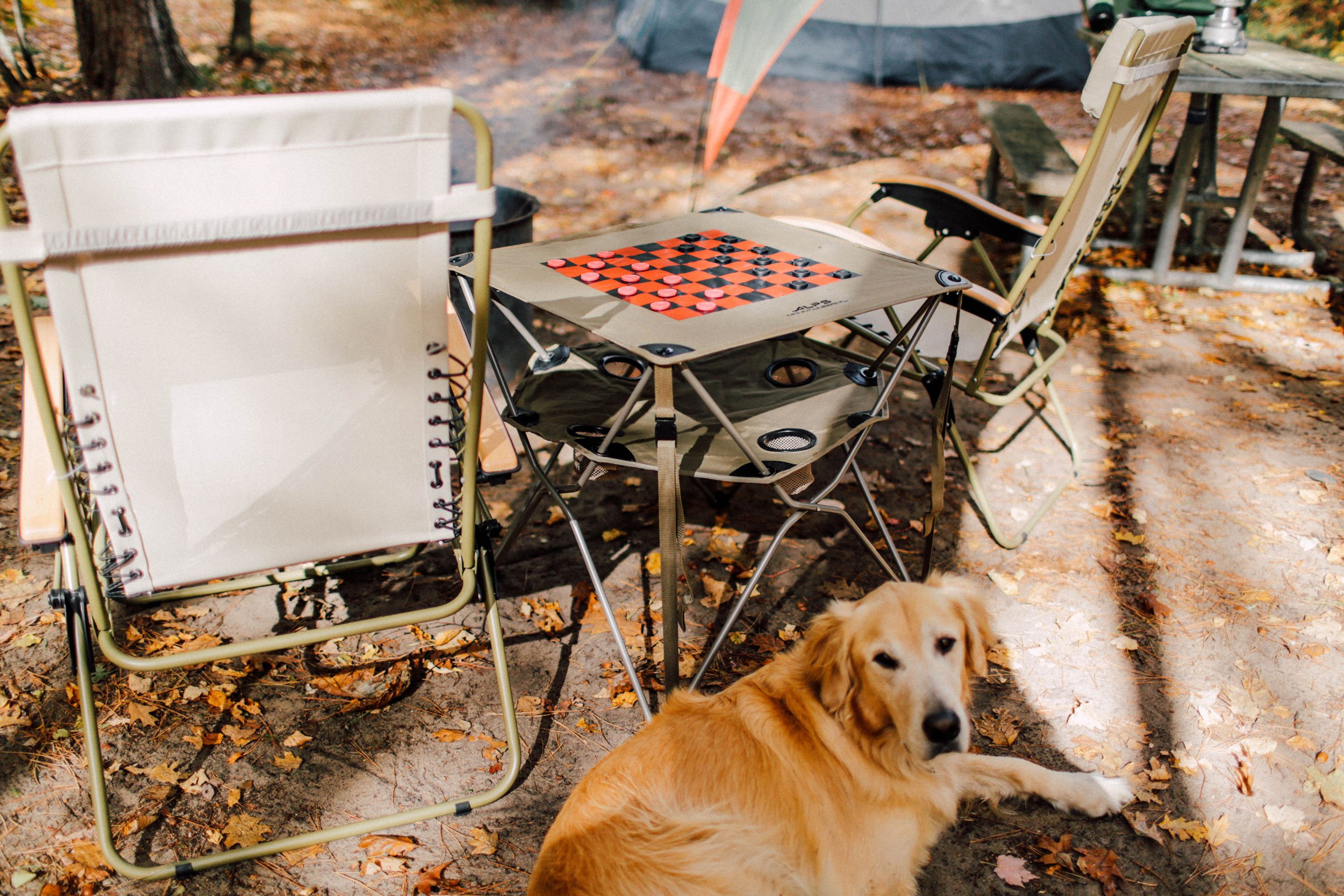Alps Mountaineering Eclipse Table Desertcart Seychelles