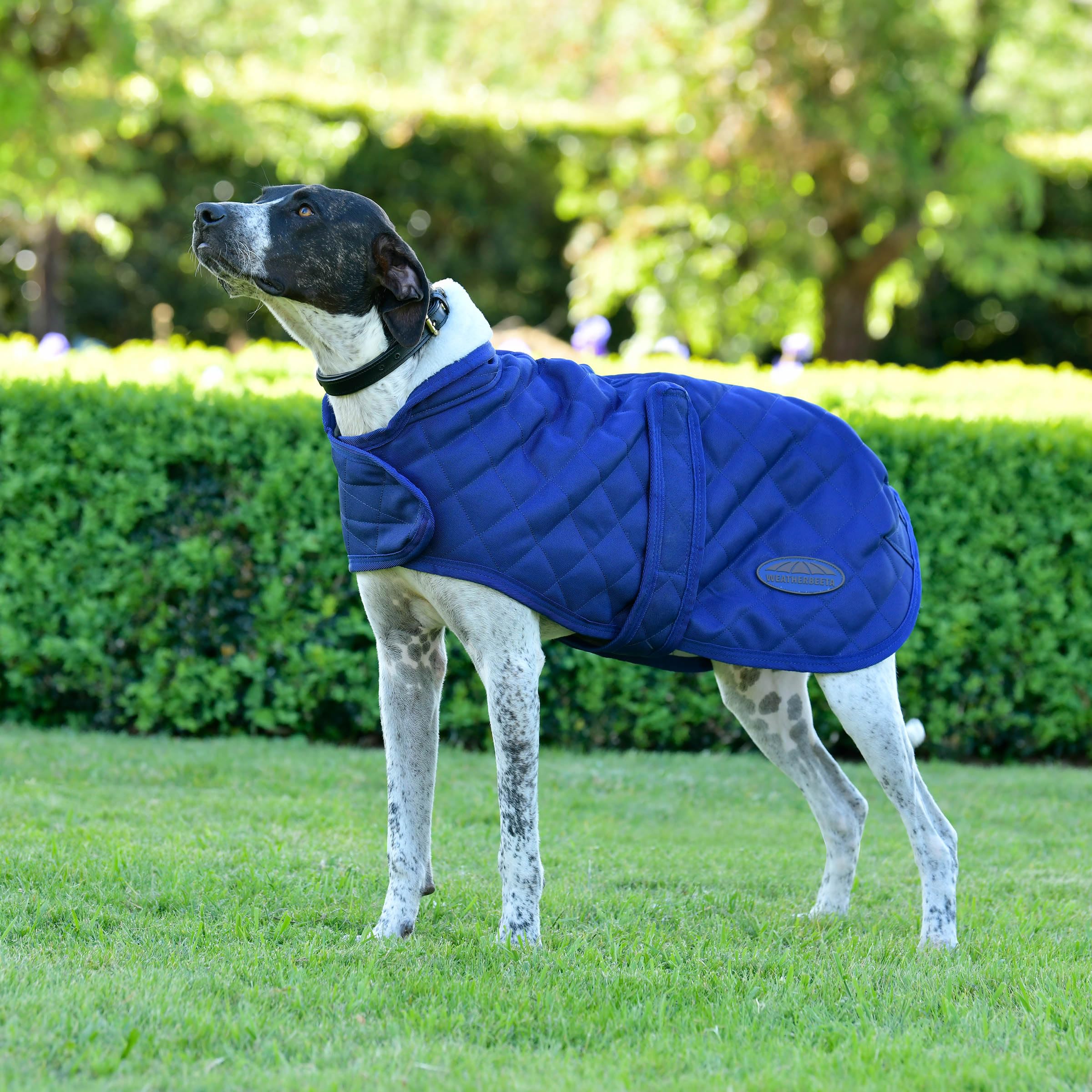 WeatherBeeta ComFiTec Deluxe Diamond Quilt Cappottino per cani, blu navy, 75 cm