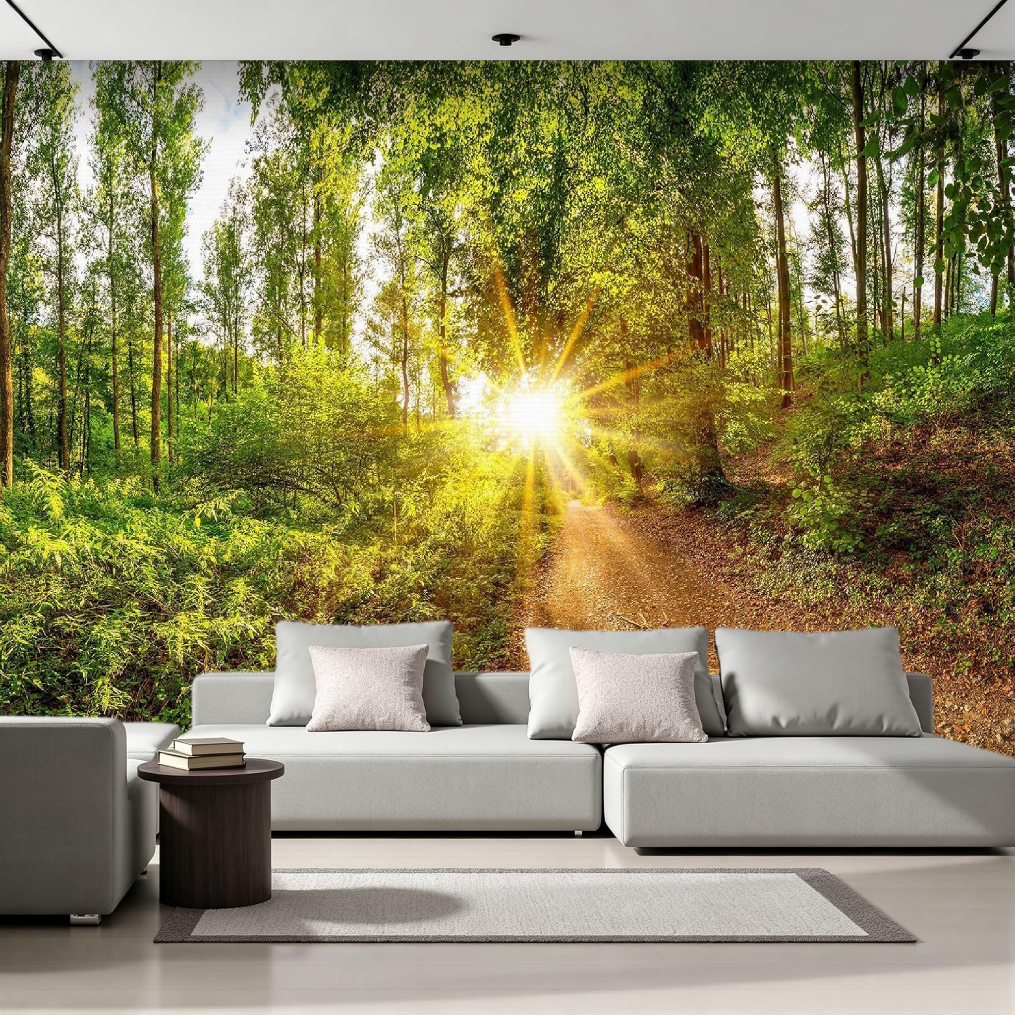Photo Mural 250x175 cm Intissé Effet Tyndall Papier Peint Mat Lumineux 3D