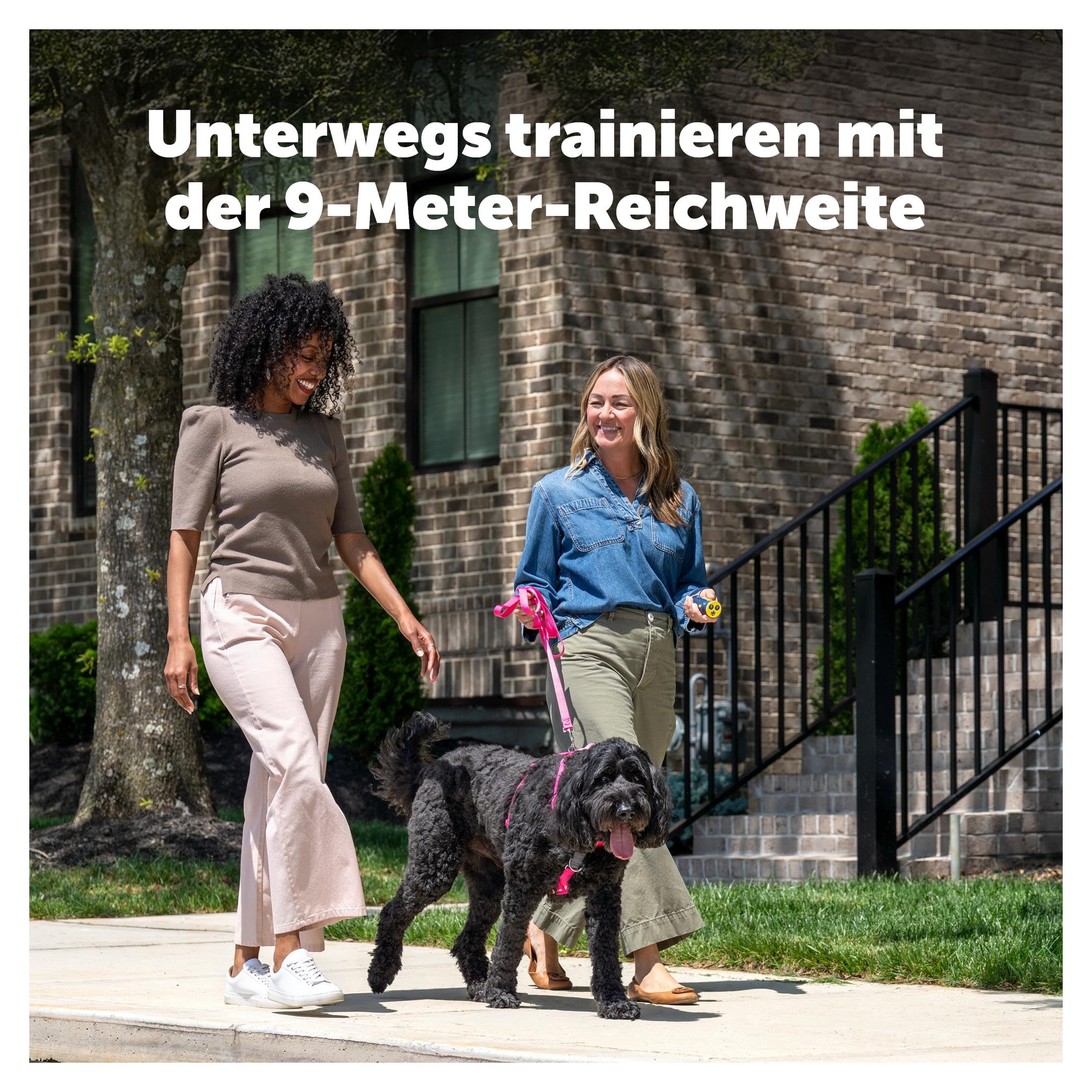 PetSafe Trainer ohne Halsband – Ultraschall-Trainingsgerät – tragbares Anti-Bell-Gerät – Ultraschall-Tonsignal, Blinklicht und Variables Tonsignal – wiederaufladbare Batterie – Taschenlampe