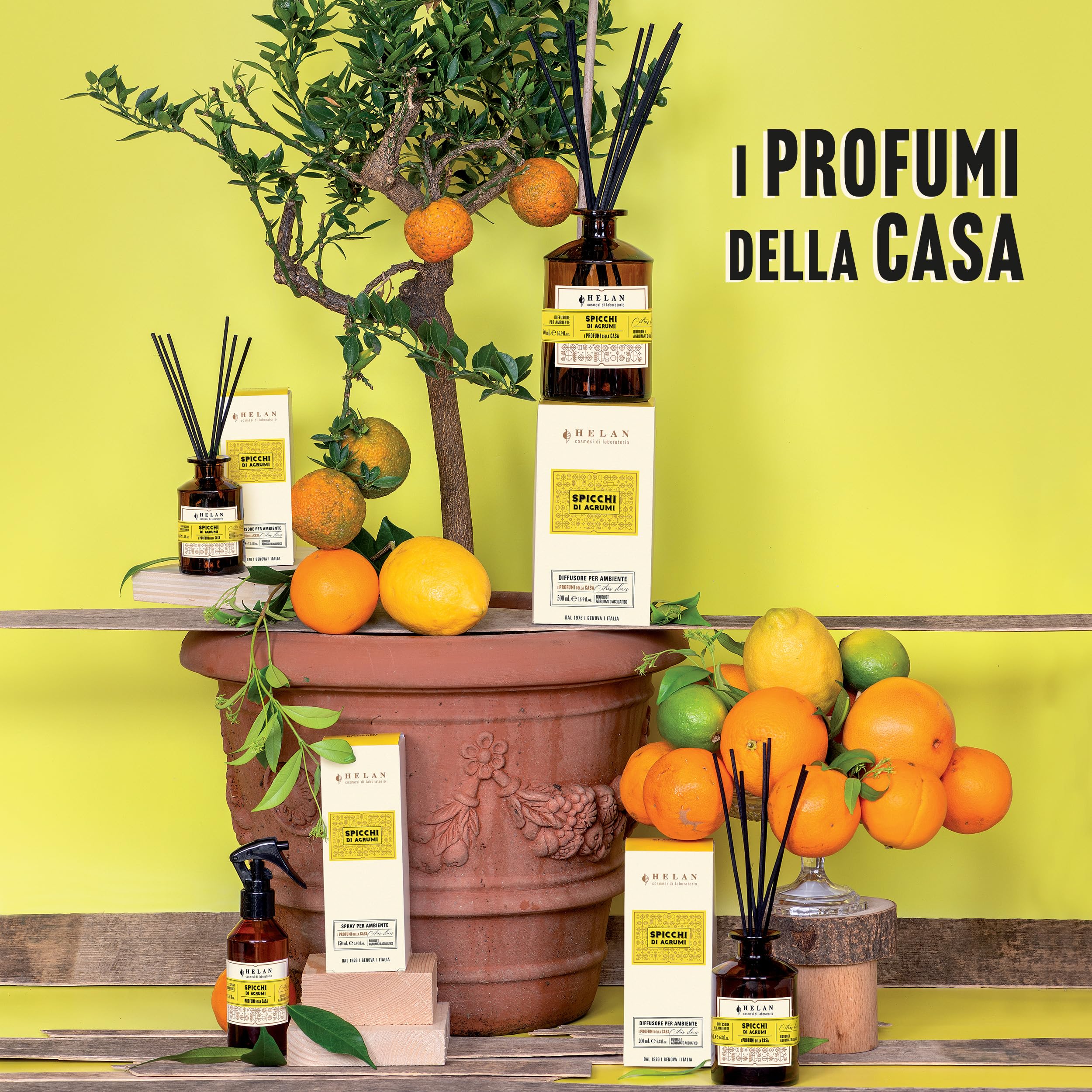 Helan Citrus Slices – Lufterfrischer, Raumduft mit Diffusorstäbchen aus Rattan mit süßen Orangennoten – Geschenkidee Lufterfrischer, 500 ml – Made in Italy