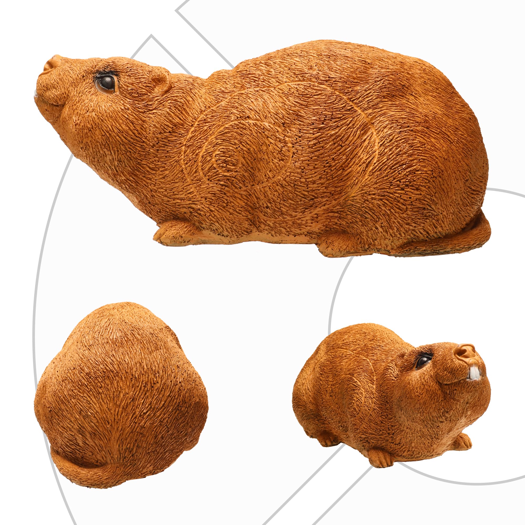 3D Archery Target Groundhog, Animal Shooting Target with Yard Stakes for Backyard Hunting Bow Targeting Practice