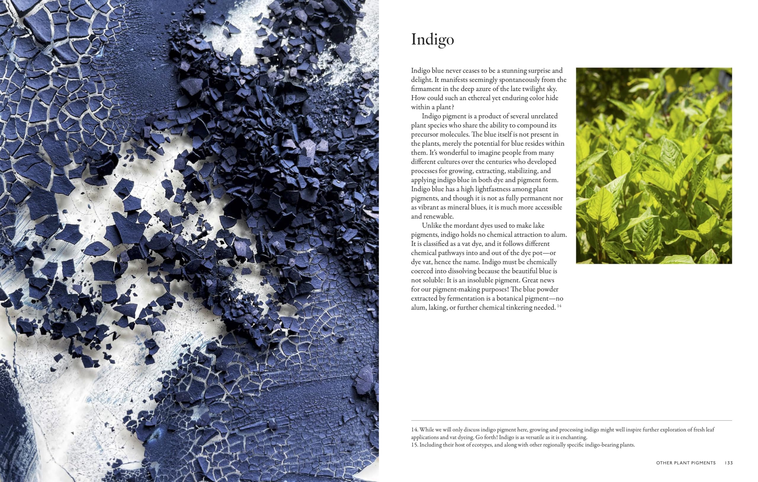 From Plant to Pigment: How to Make Your Own Vibrant Inks, Pastels and Paints
