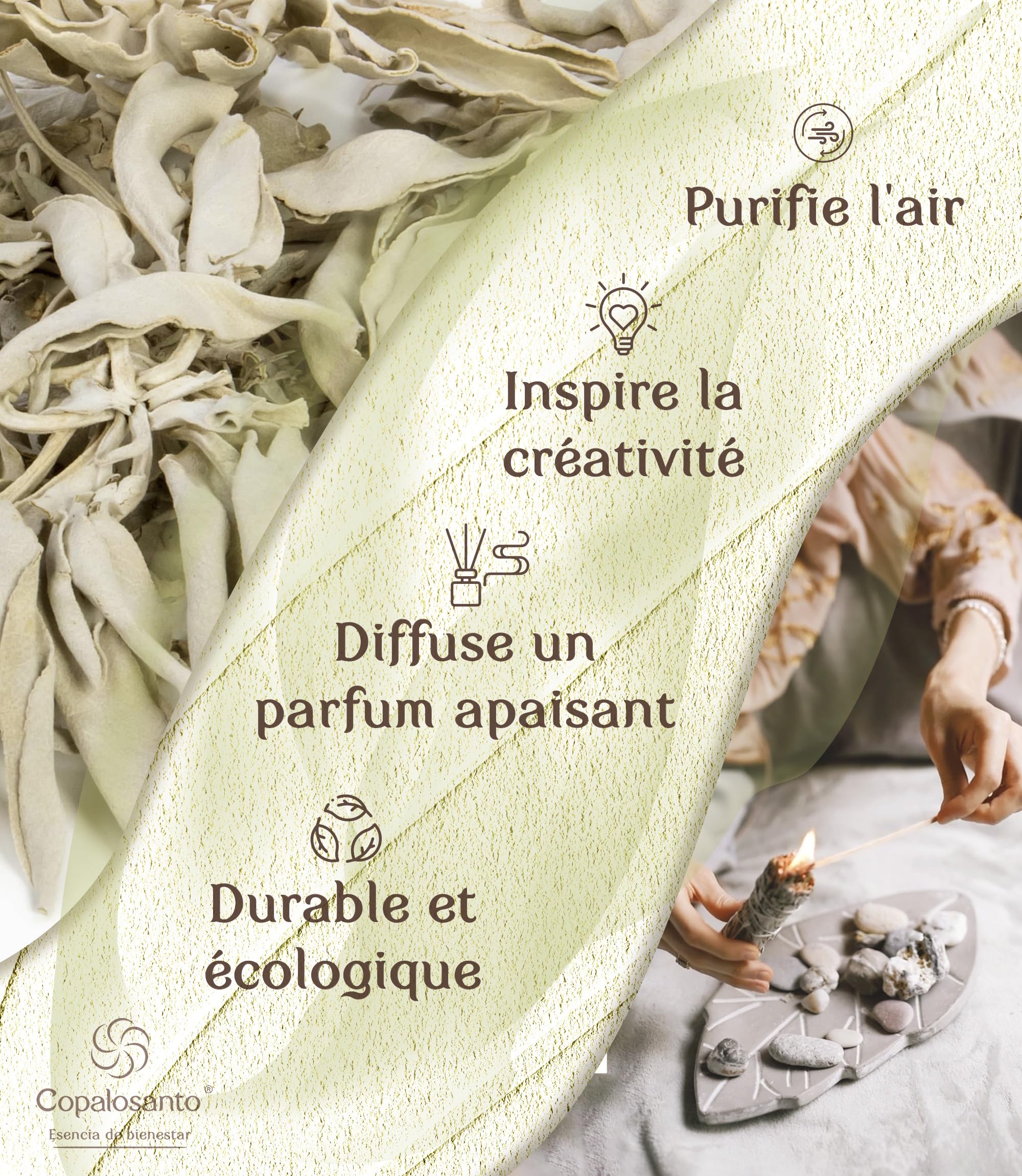 Sauge Blanche Bâton Encens Naturel Purification Protection Nettoyage Spirituel Maison Rituel Méditation Lot 4