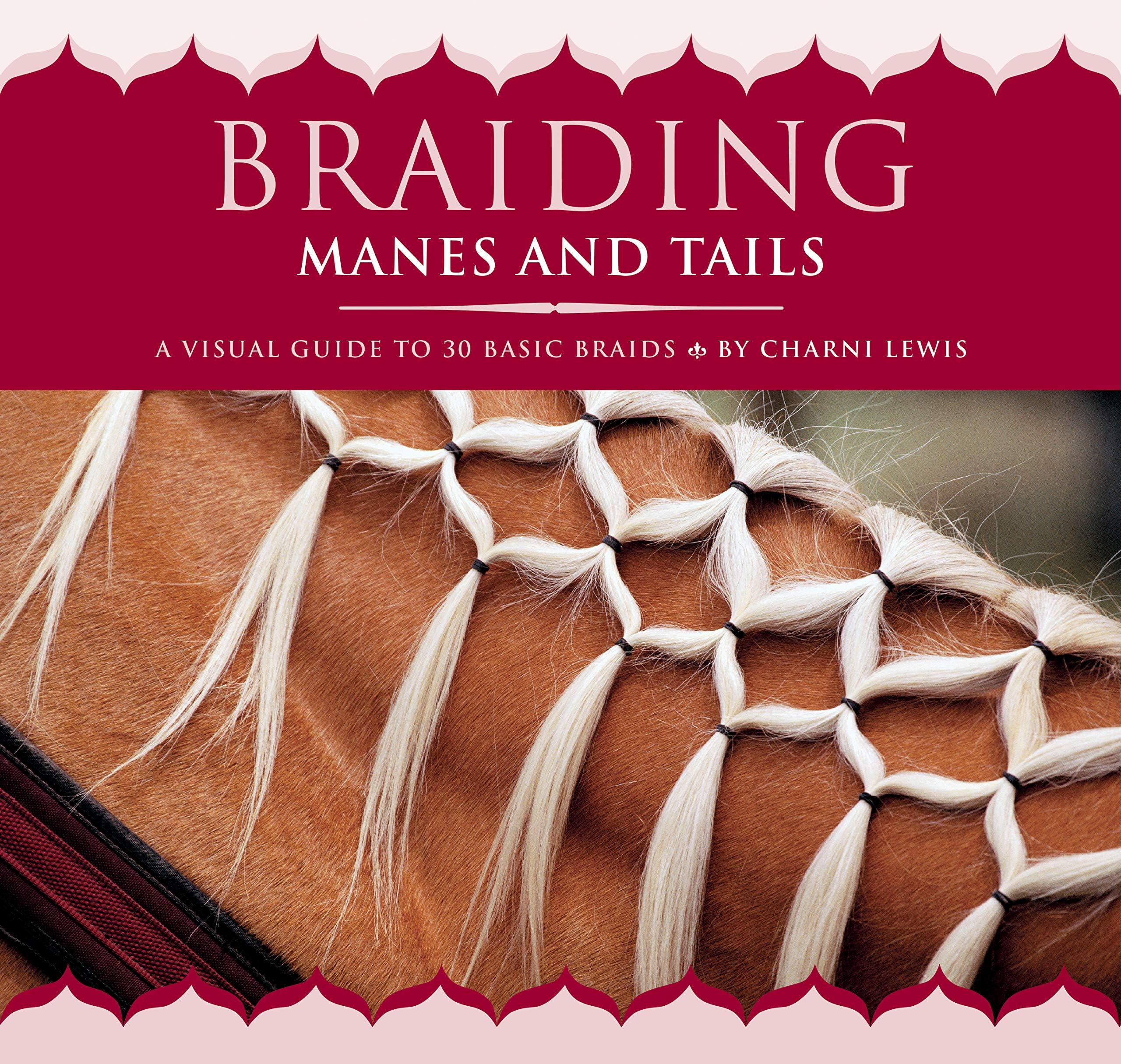 Storey Publishing Braiding Manes and Tails: A Visual Guide to 30 Basic Braids